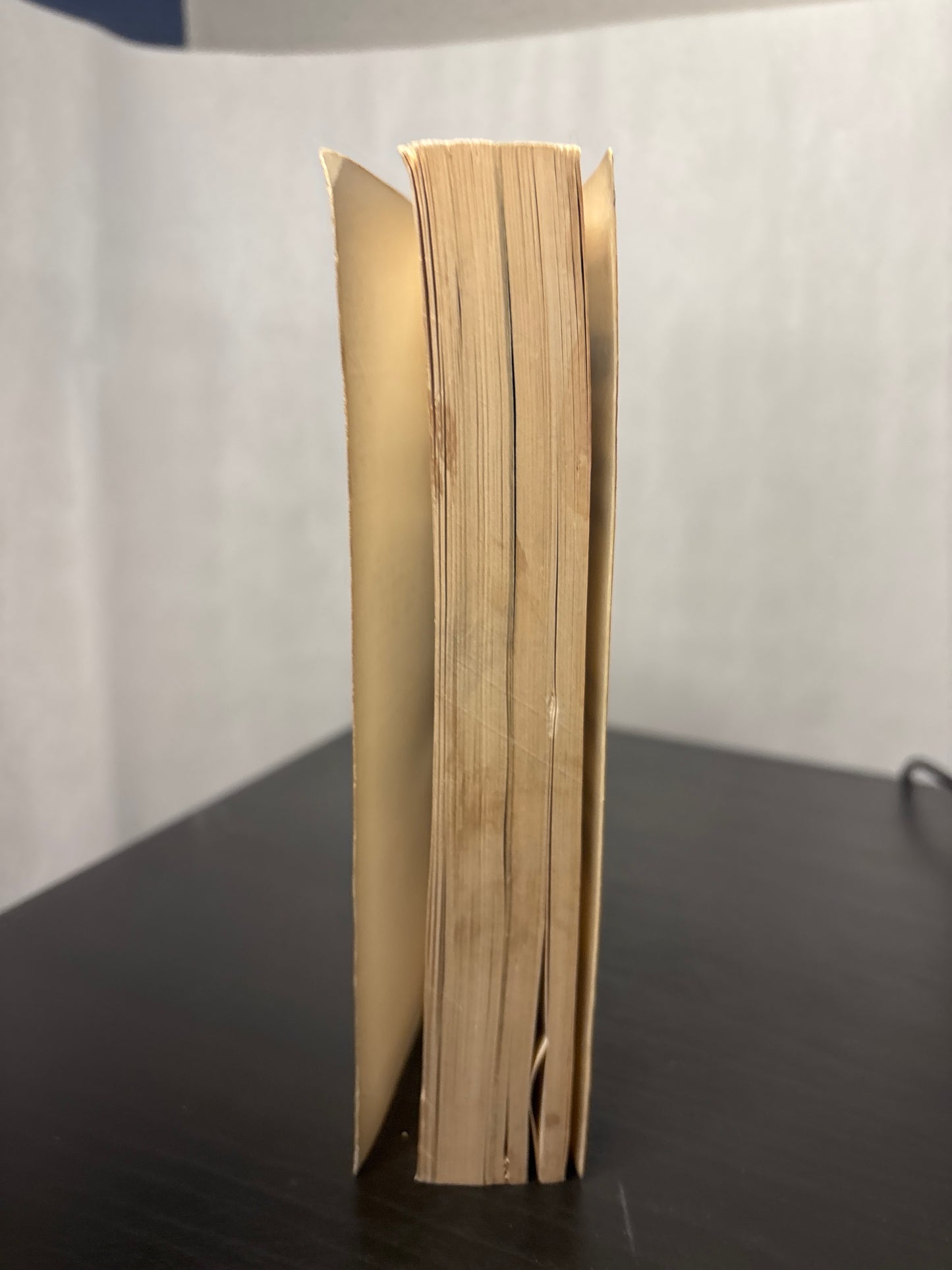 Prehistory by Jacquetta Hawkes (Volume 1, part 1)