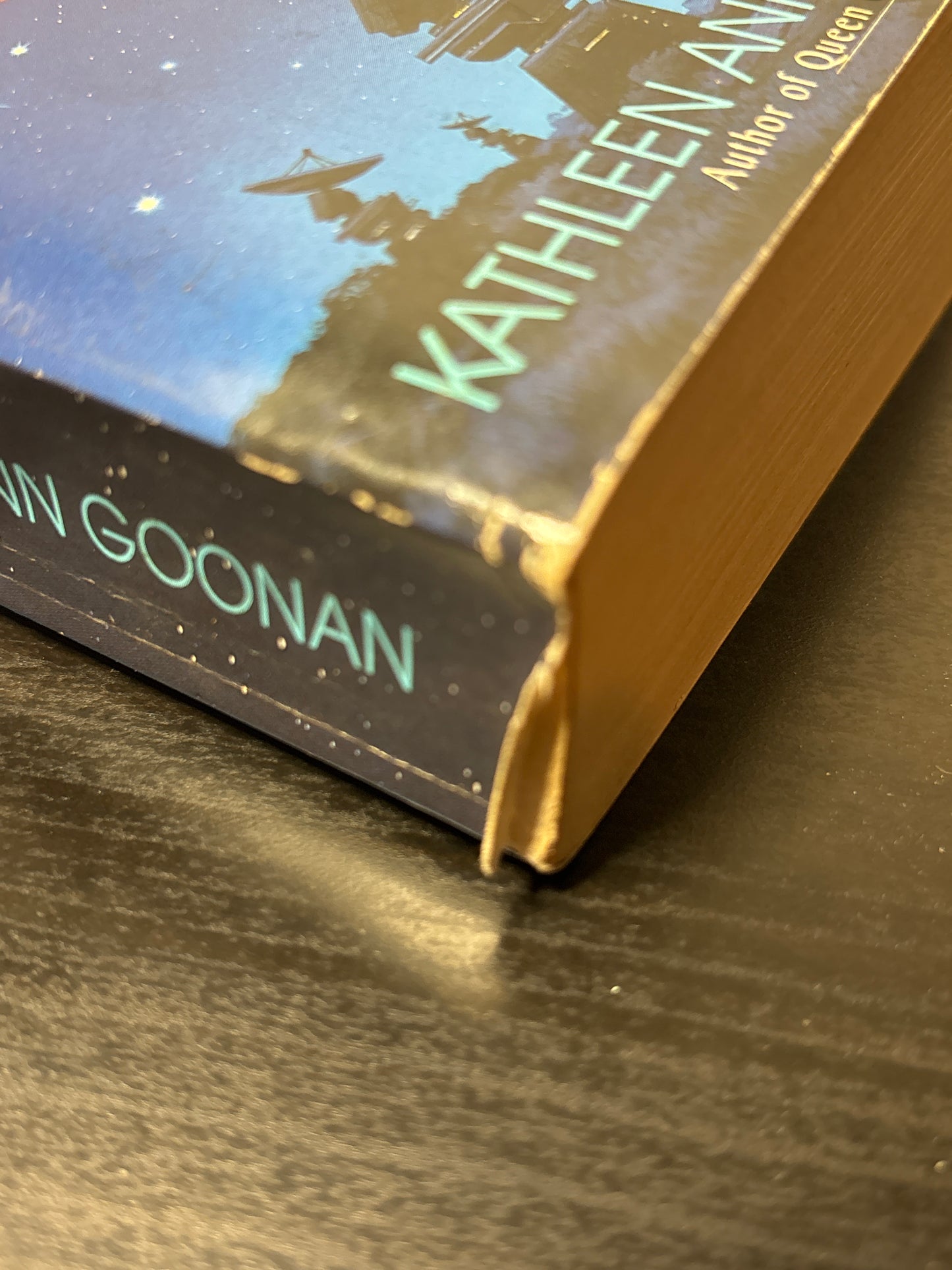 Crescent City Rhapsody by Kathleen Ann Goonan (Nanotech #3) | Classic Sci-Fi