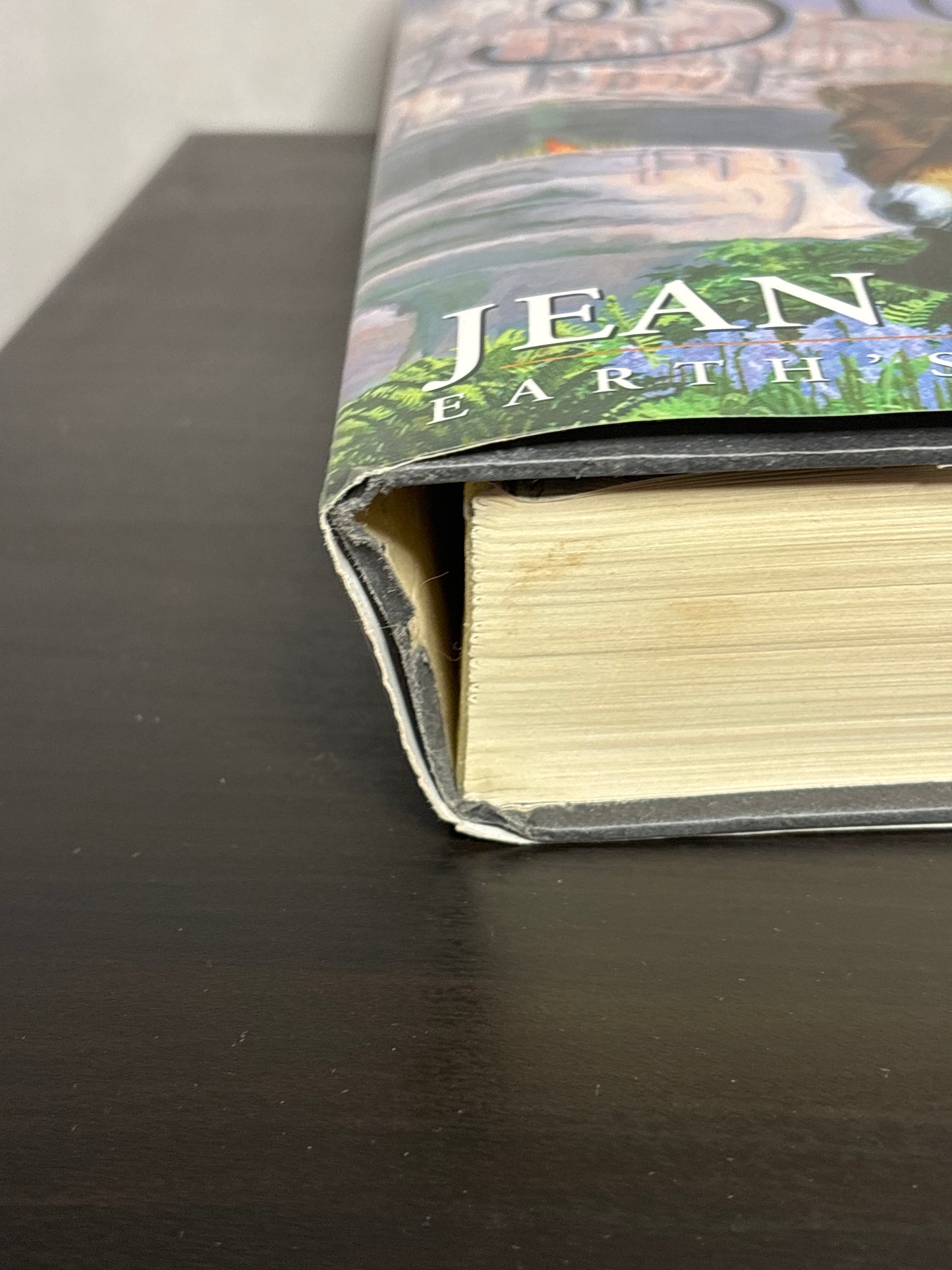 The Shelters of Stone by Jean M. Auel (Earth's Children #5)