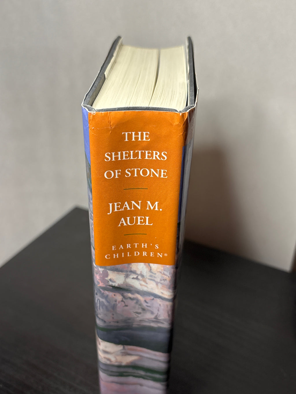 The Shelters of Stone by Jean M. Auel (Earth's Children #5)