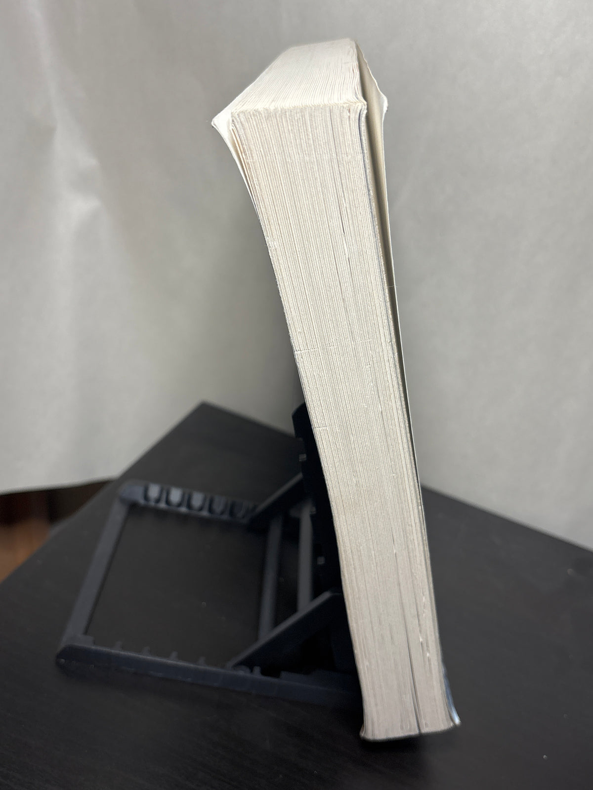 Broken for You by Stephanie Kallos | Contemporary Literary Fiction