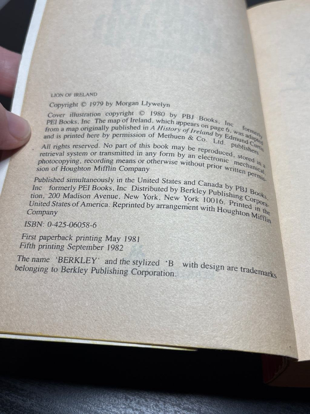 Lion of Ireland by Morgan Llwelyn (Brian Boru #1)