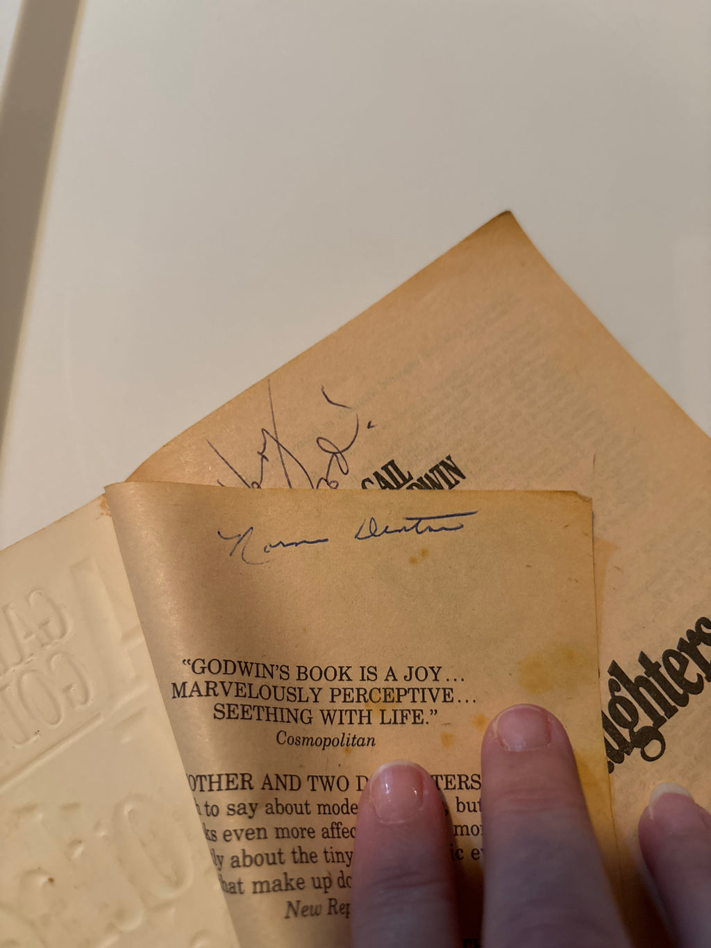 A Mother and Two Daughters by Gail Godwin