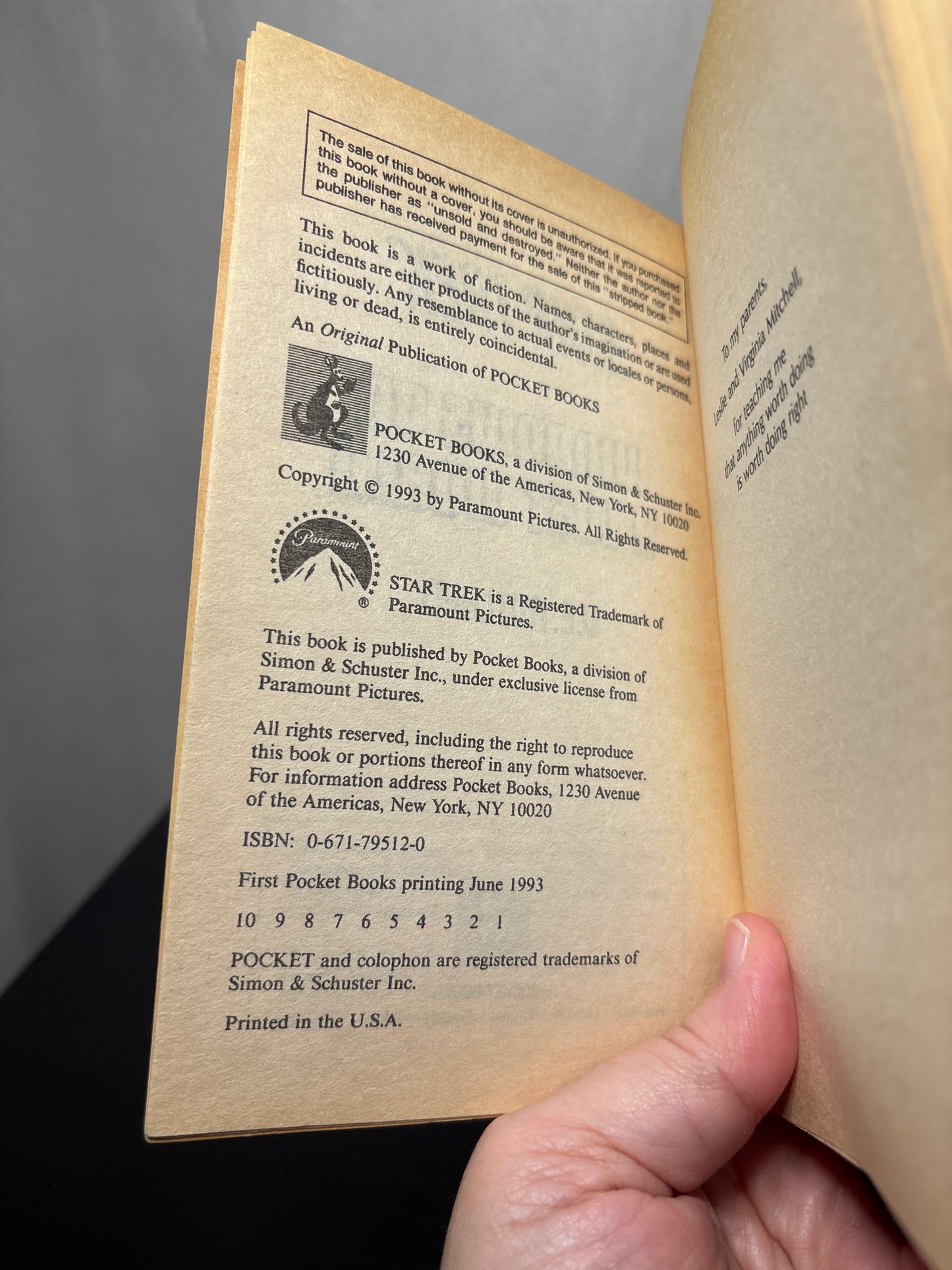 Windows on a Lost World by V.E. Mitchell (Star Trek: The Original Series #65) | Vintage Sci-Fi