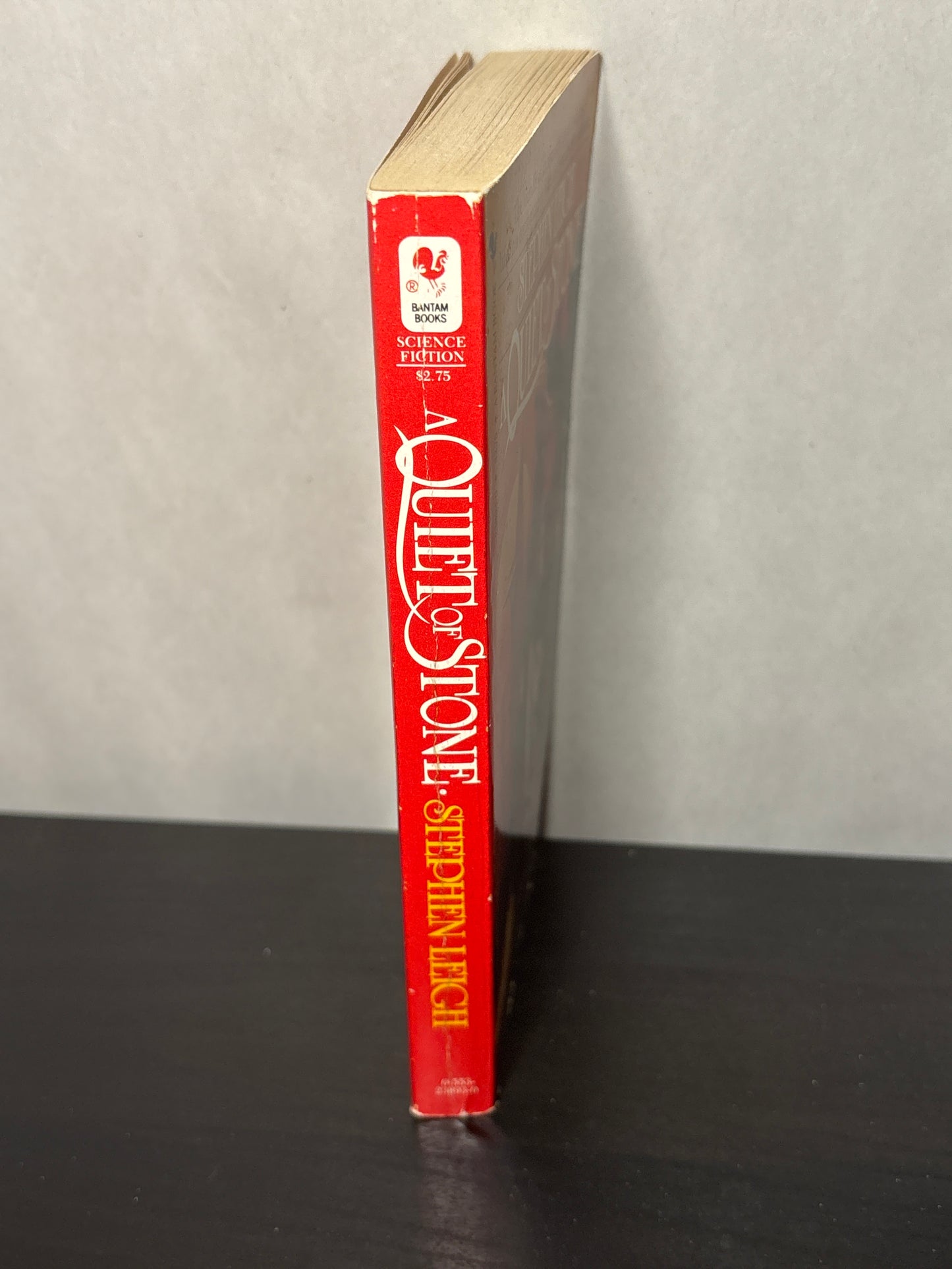 A Quiet of Stone by Stephen Leigh (New Eden #3) | Vintage Fantasy