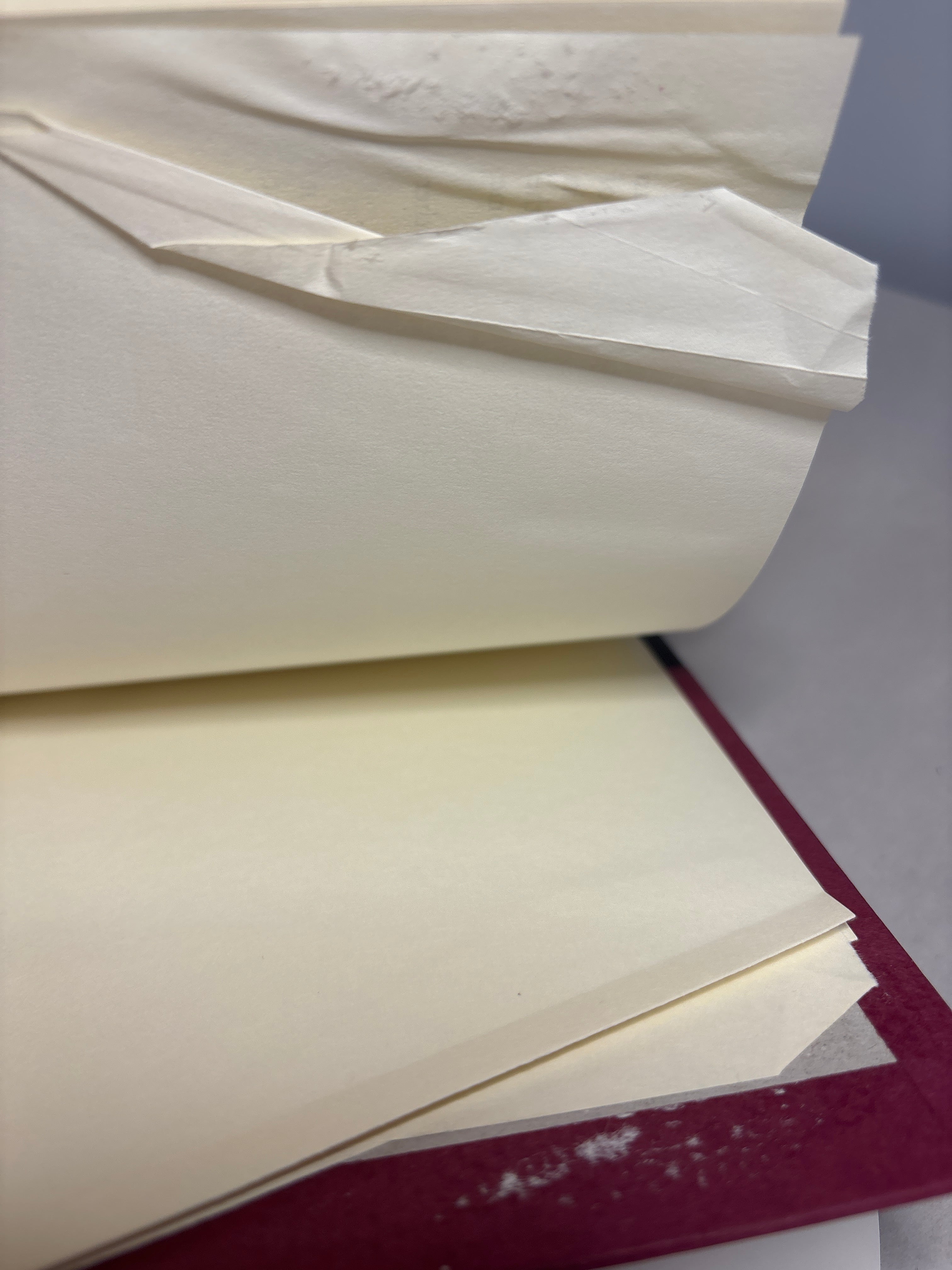 The Forest House by Marion Zimmer Bradley (Avalon #2)