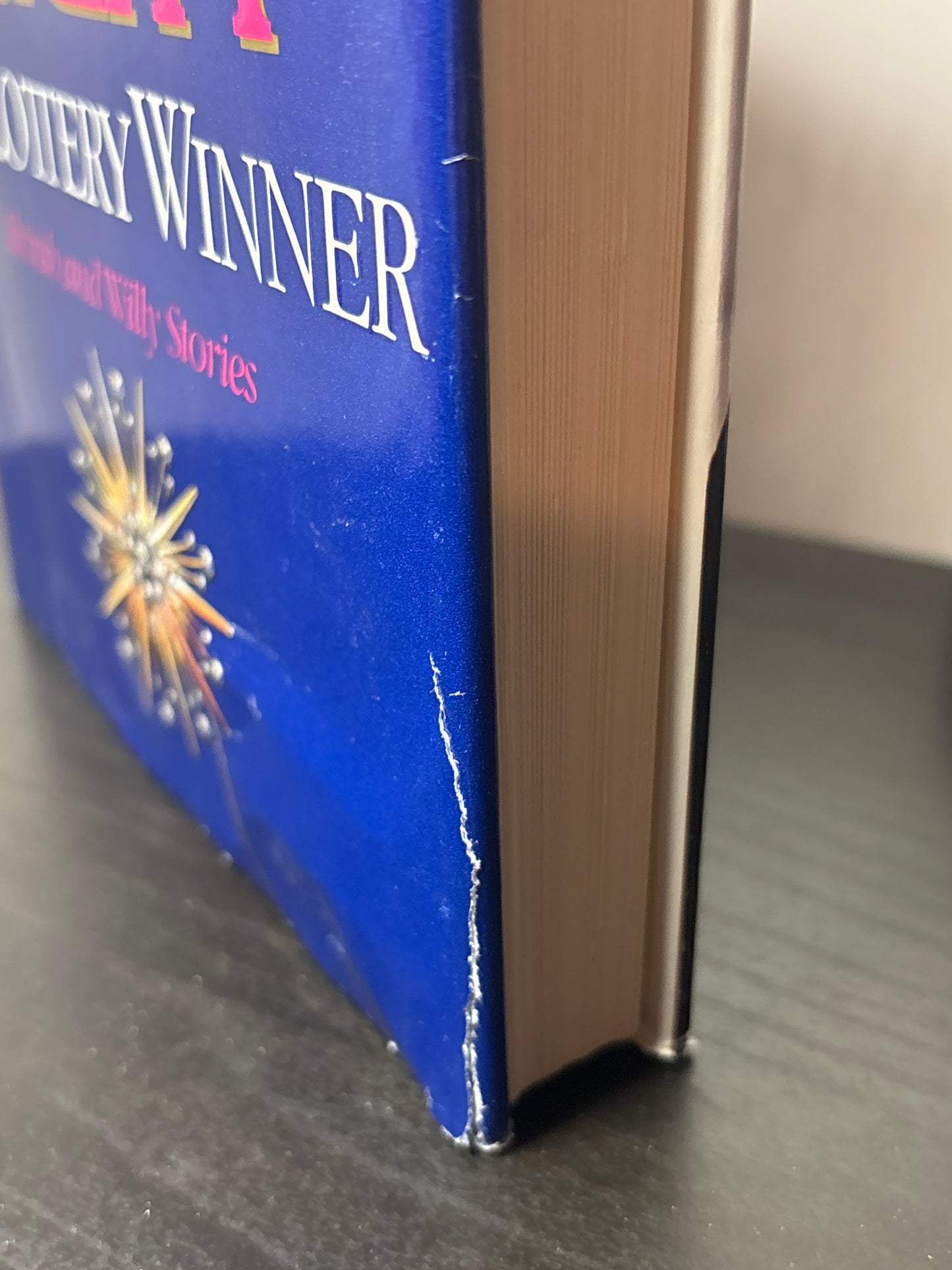 The Lottery Winner by Mary Higgins Clark (Alvirah & Willy #2)