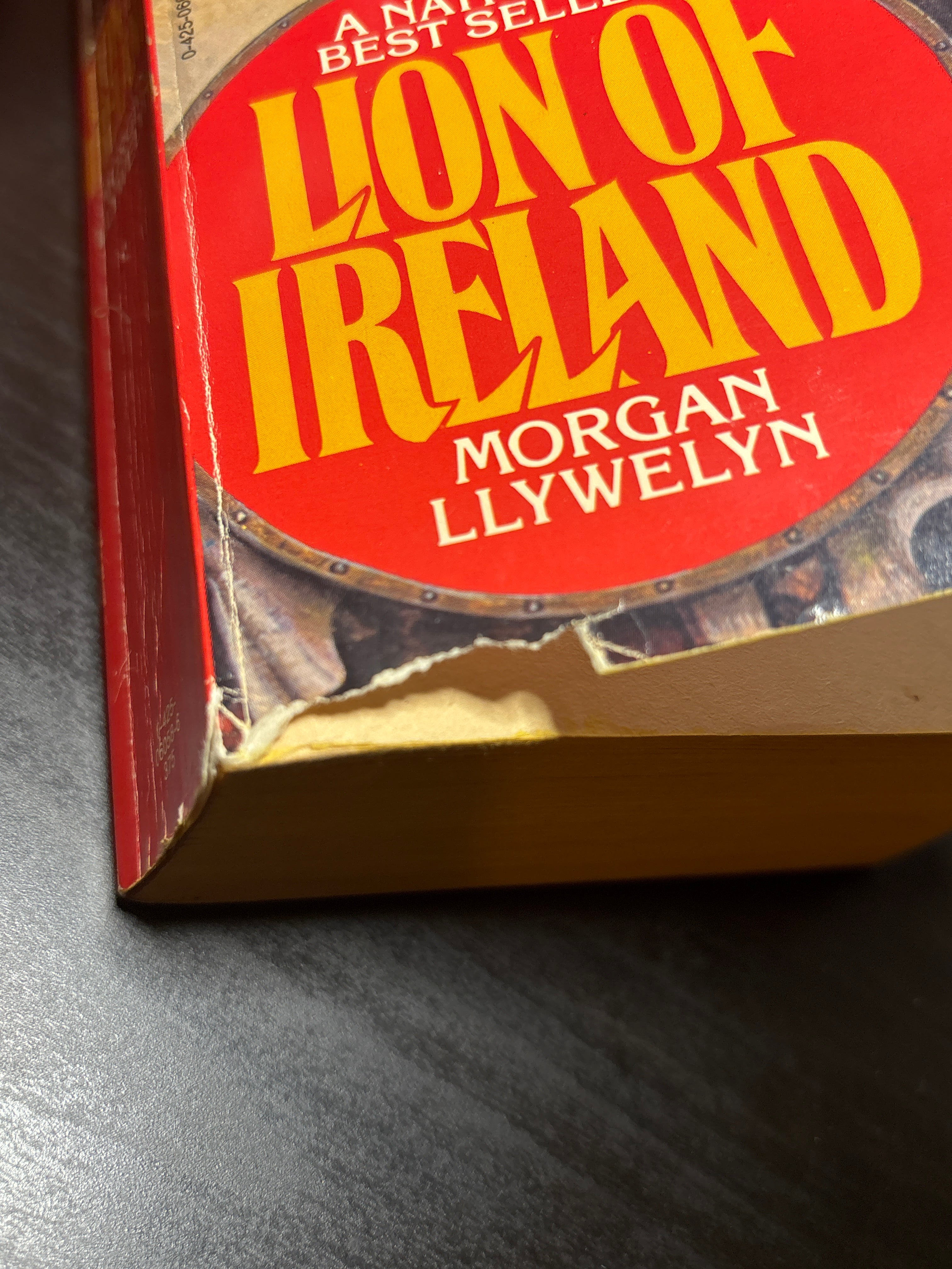 Lion of Ireland by Morgan Llwelyn (Brian Boru #1)