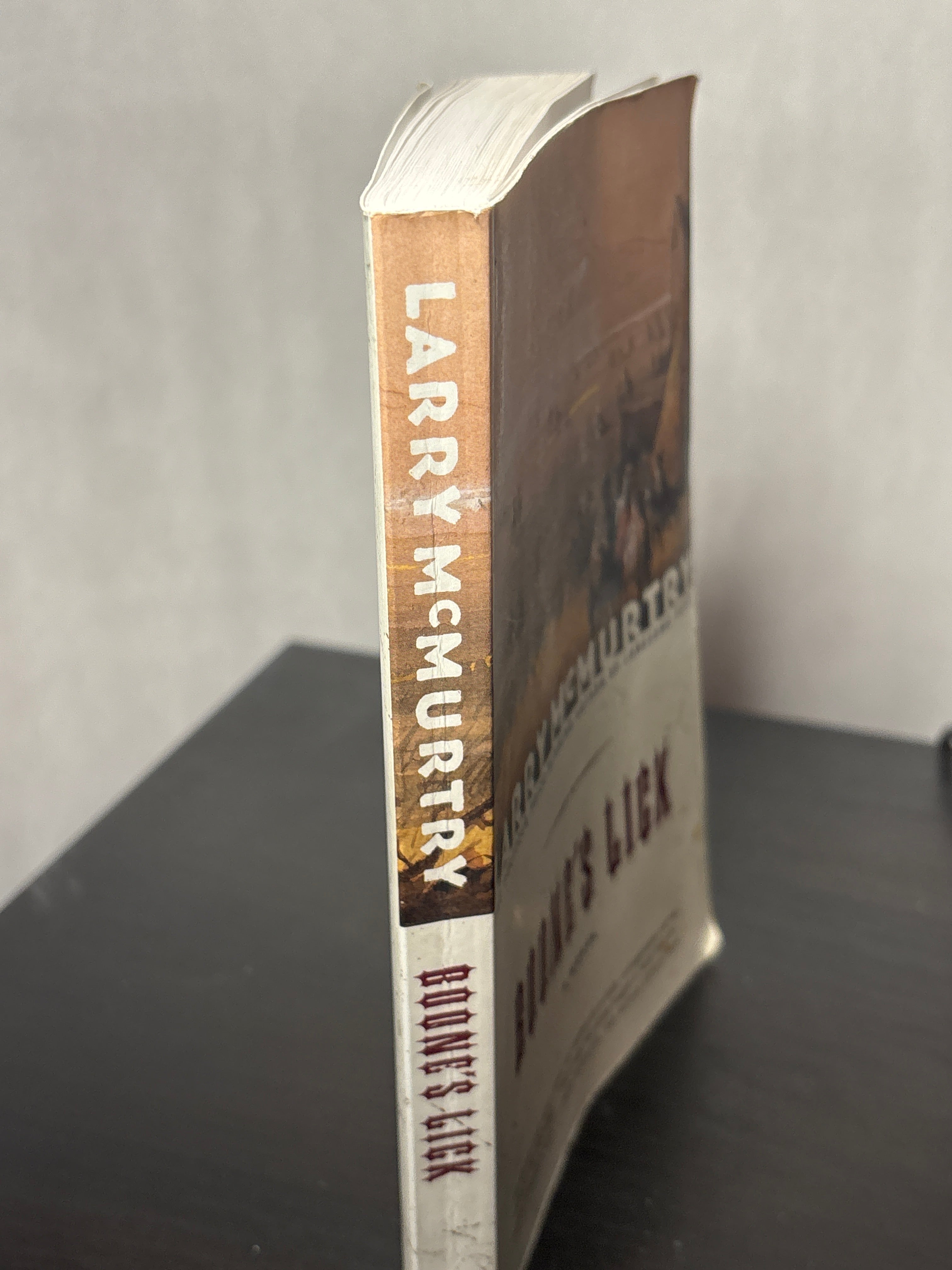 Boone's Lick by Larry McMurtry