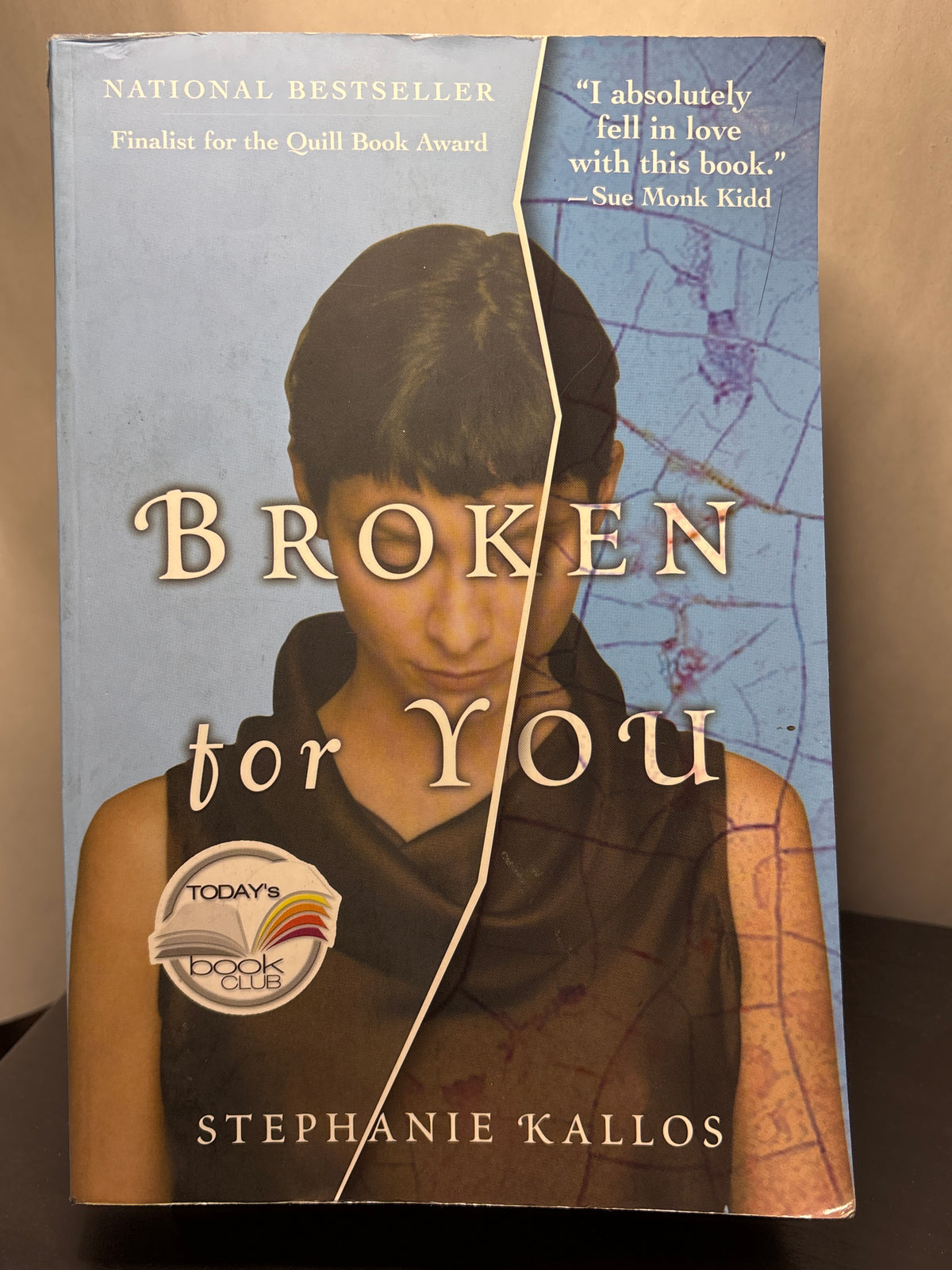 Broken for You by Stephanie Kallos | Contemporary Literary Fiction