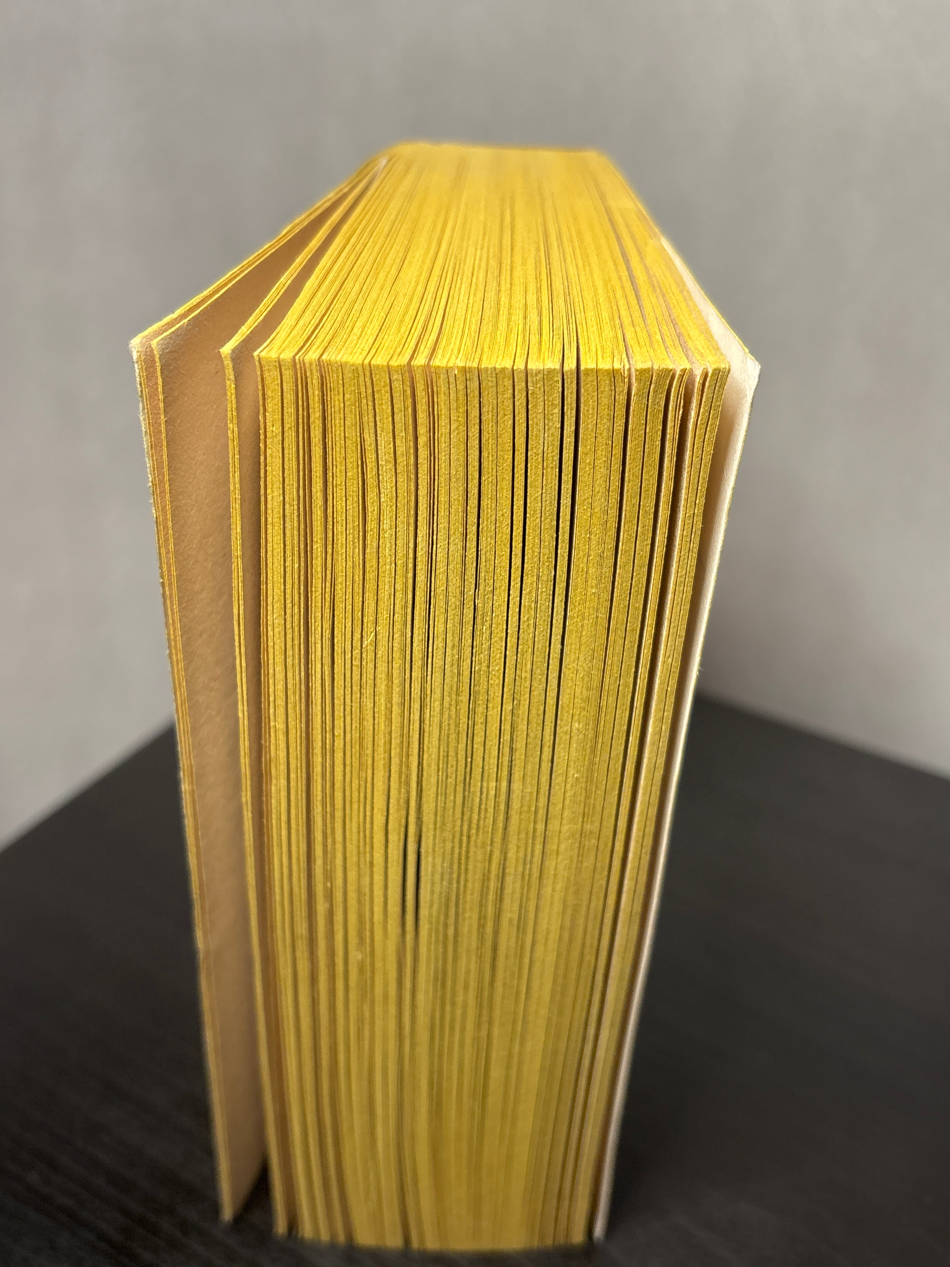 Lion of Ireland by Morgan Llwelyn (Brian Boru #1)