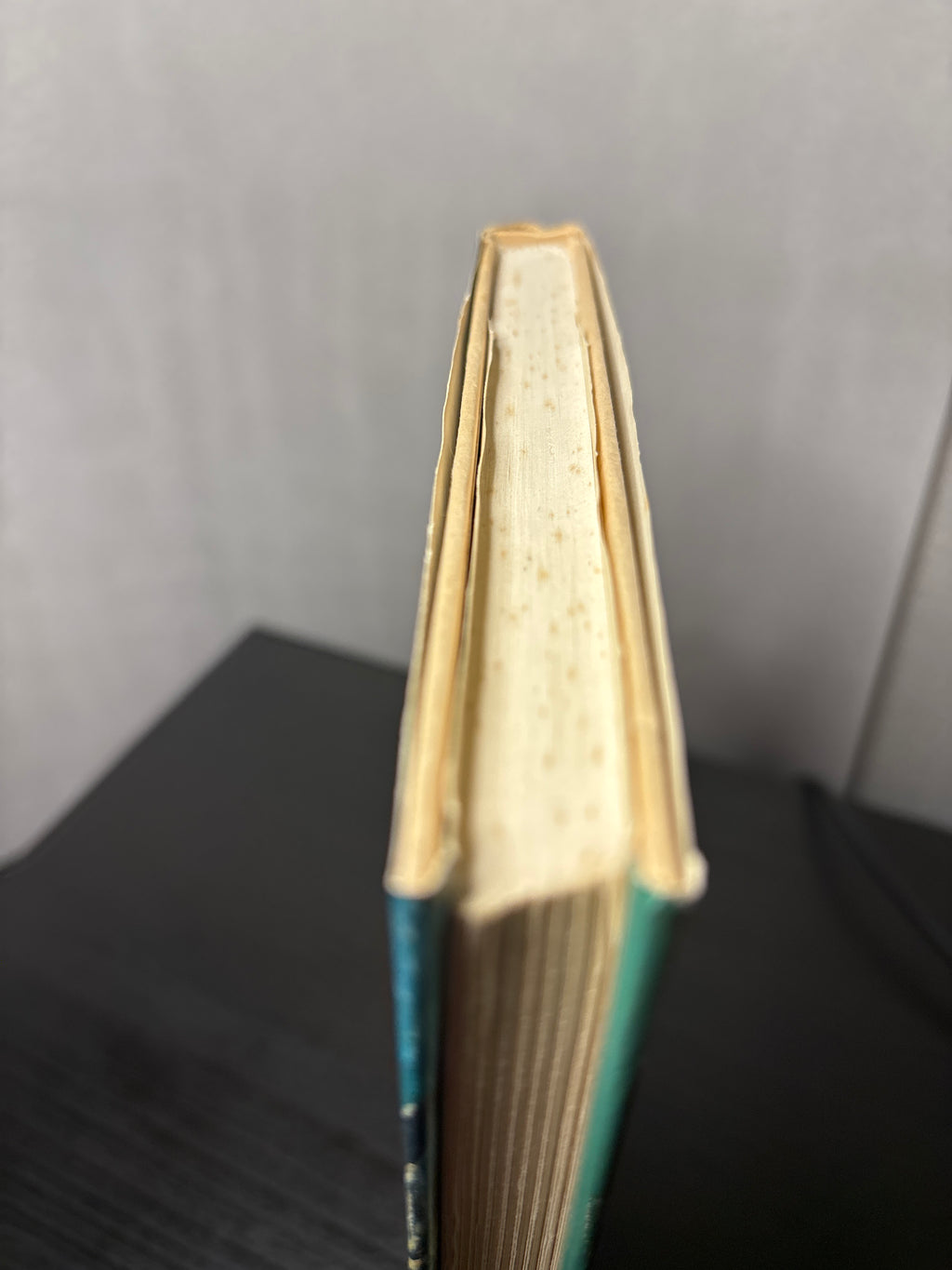 Non-Stop by Brian W. Aldiss