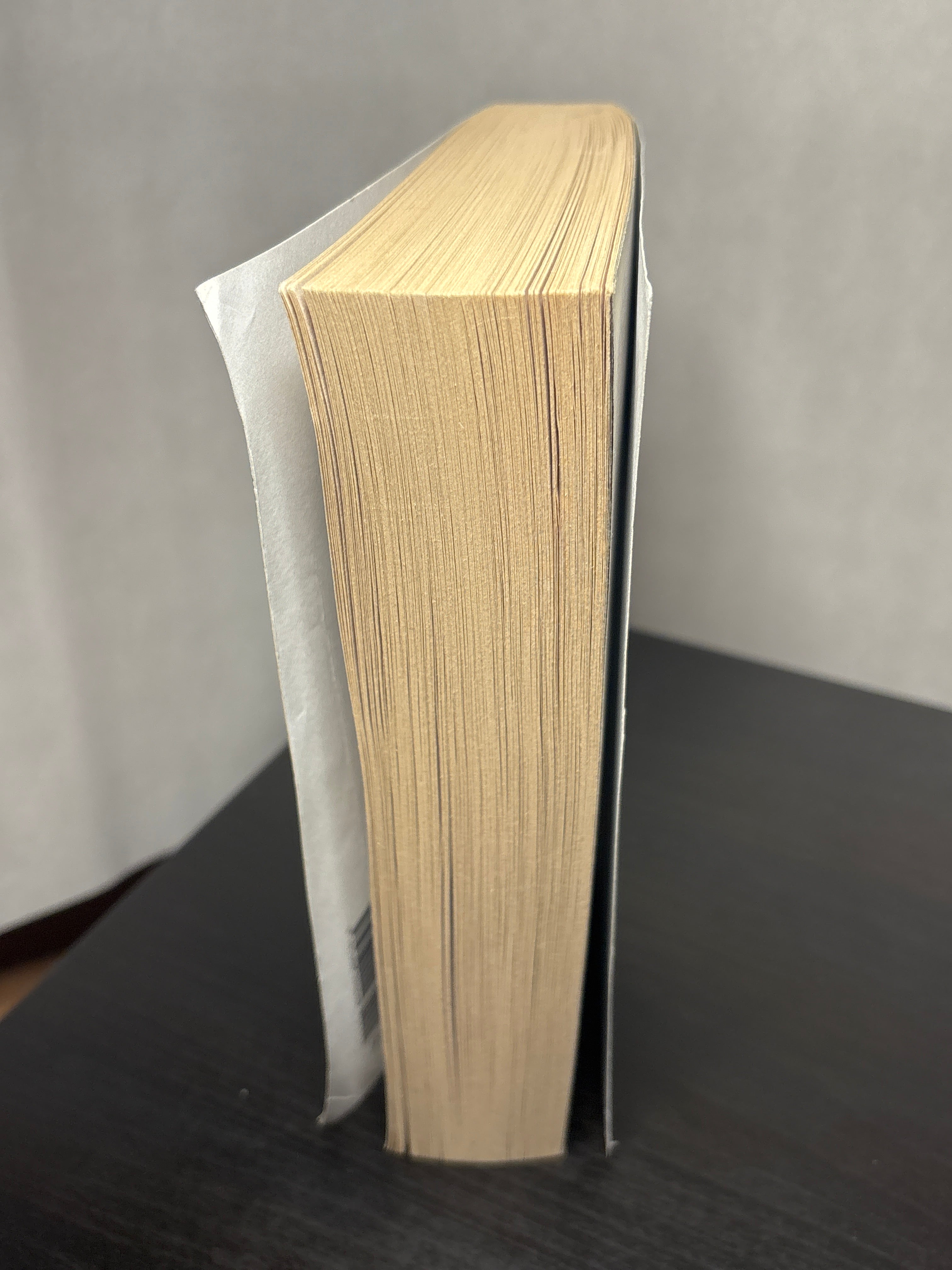 Magnus Chase and The Gods of Asgard by Rick Riordan