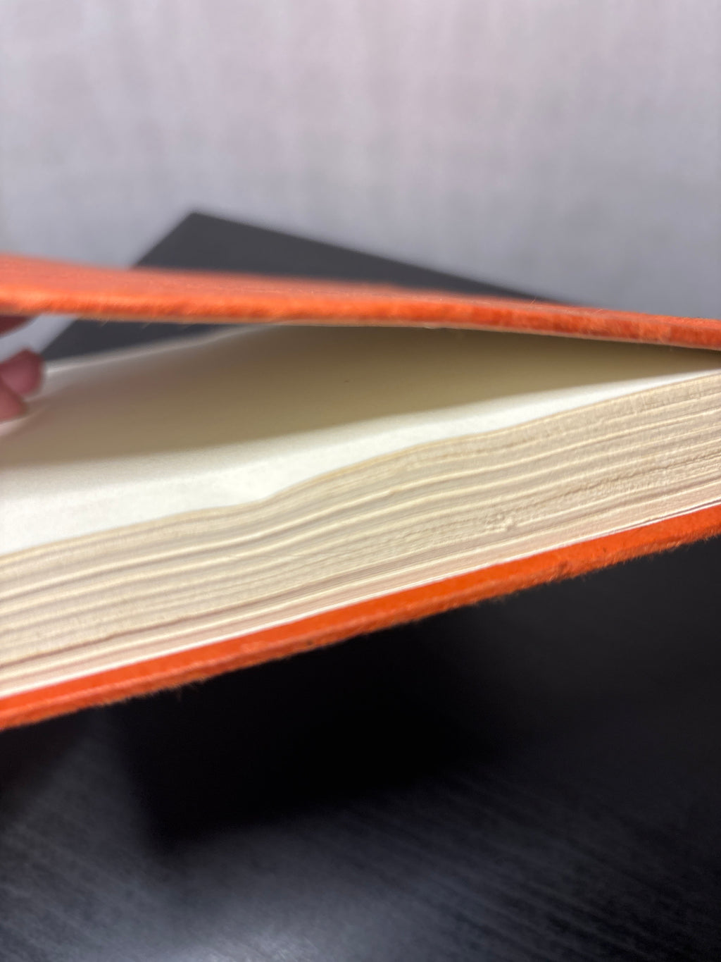 The Visitors by Clifford D. Simak