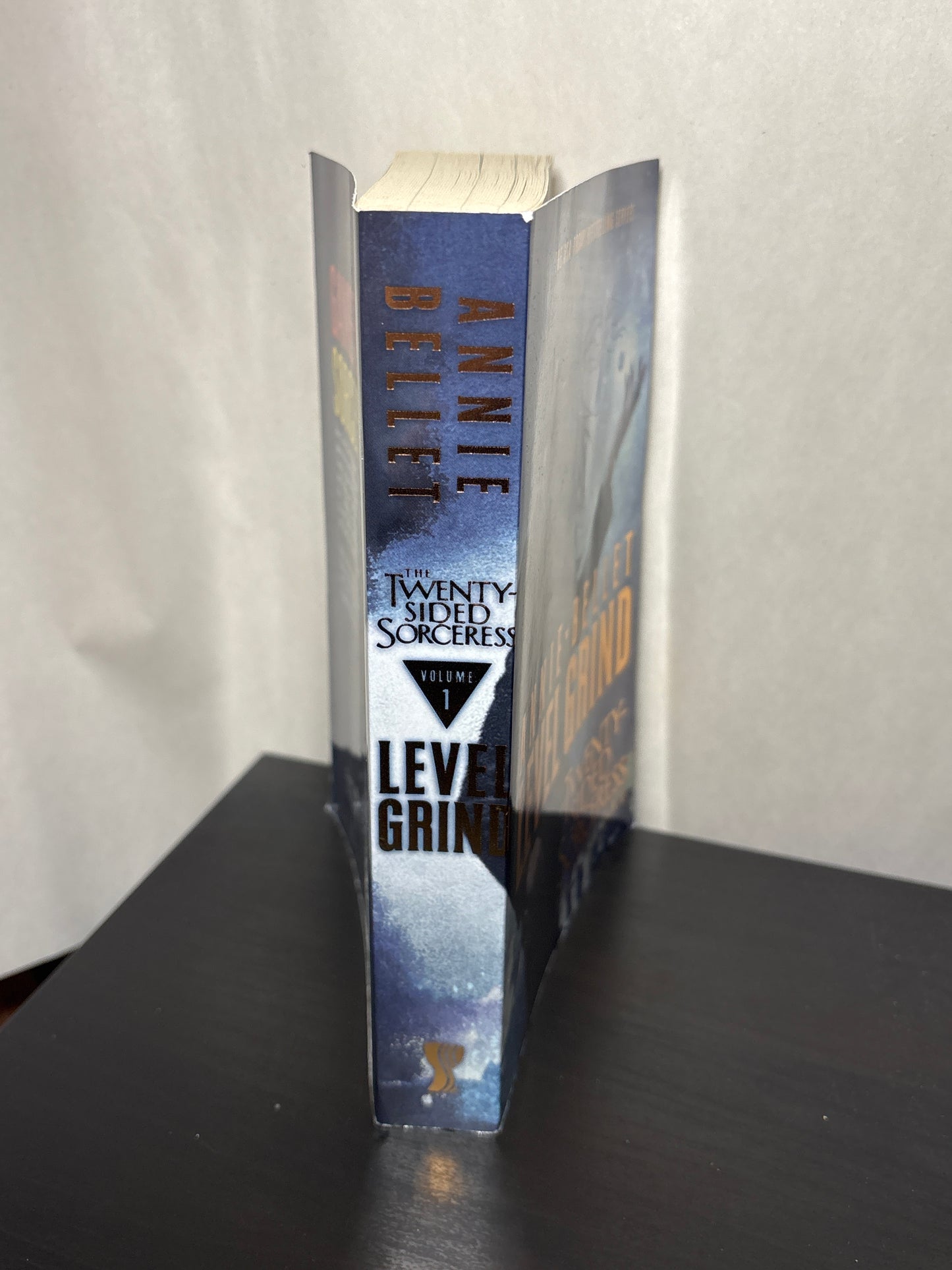 Level Grind by Annie Bellet (The Twenty-Sided Sorceress #1-4) | Urban Fantasy