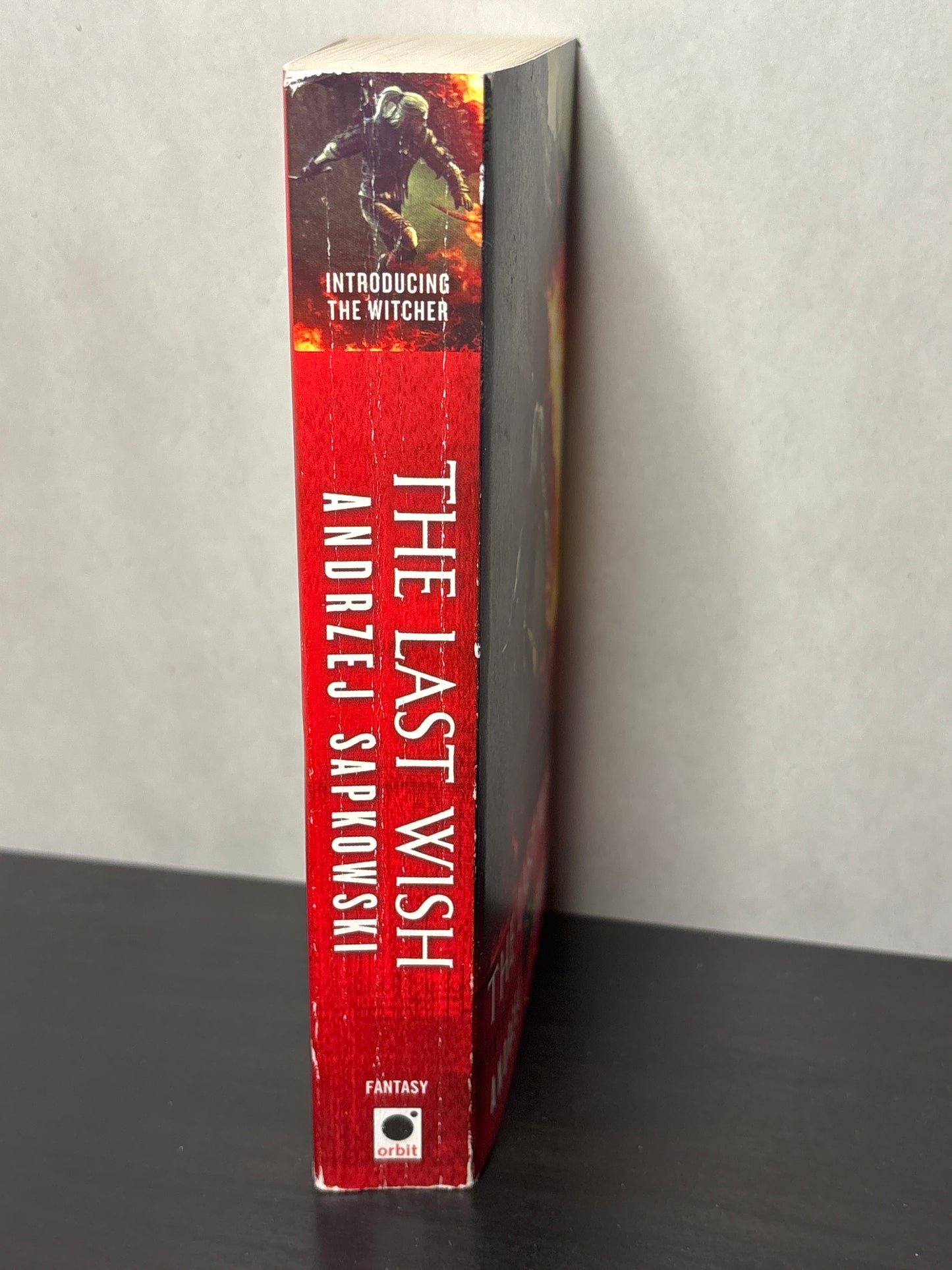 The Last Wish; Introducing the Witcher by Andrzej Sapkowski (The Witcher #0.5) | Classic Fantasy