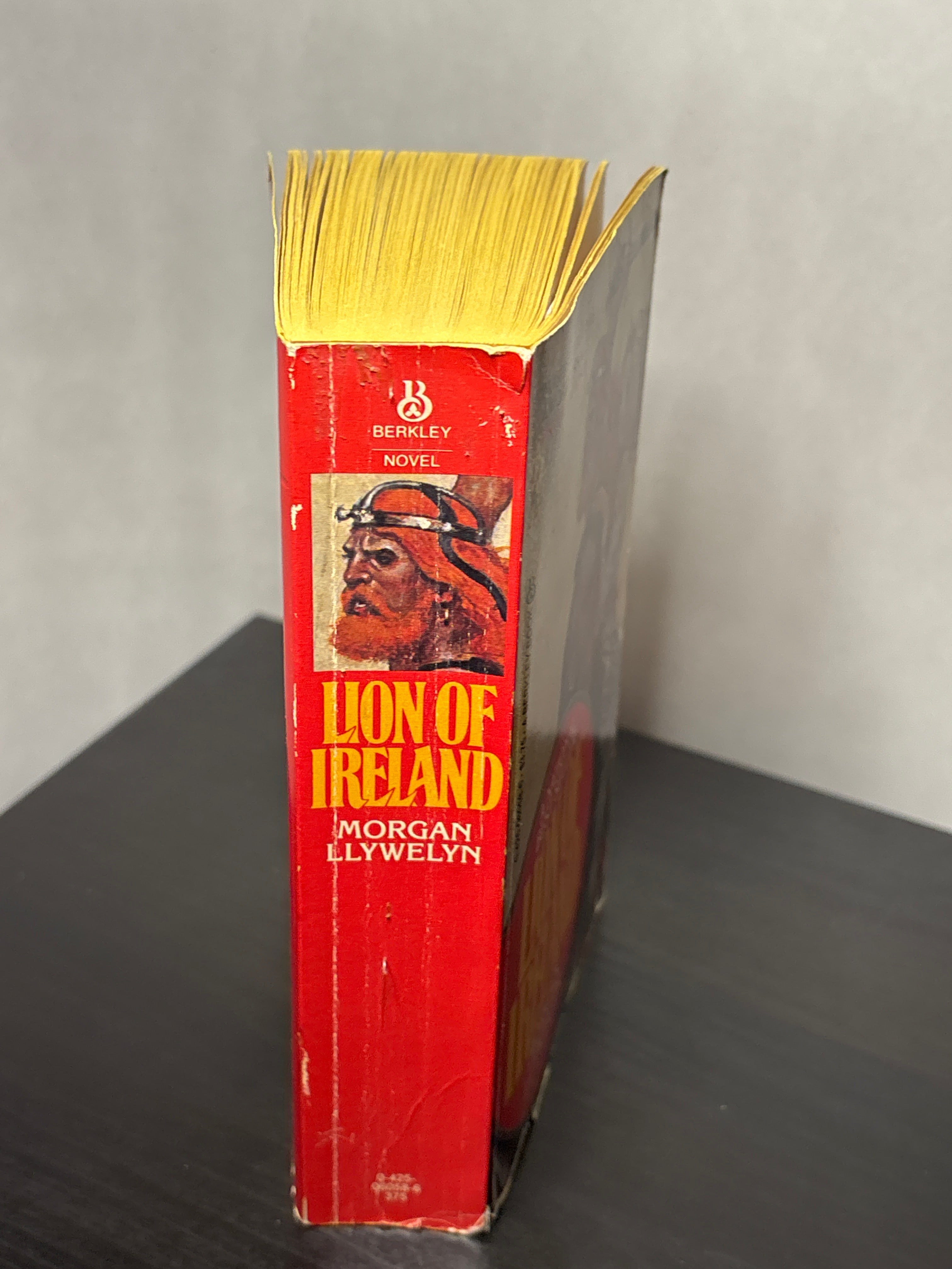 Lion of Ireland by Morgan Llwelyn (Brian Boru #1)