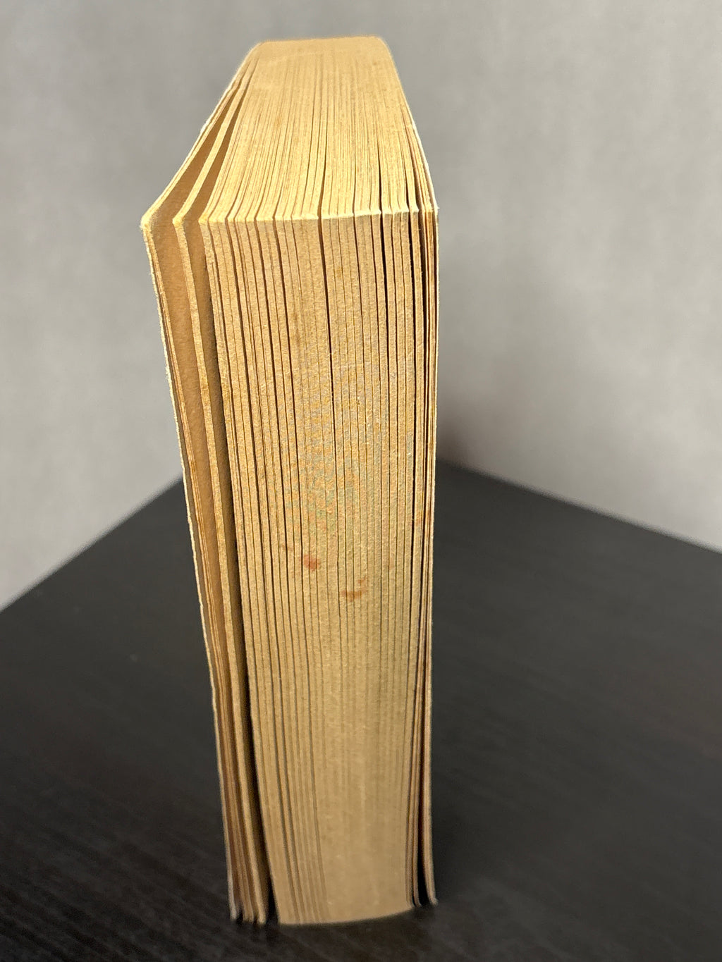 Doom of the Darksword by Margaret Weis, Tracy Hickman (The Darksword #2)