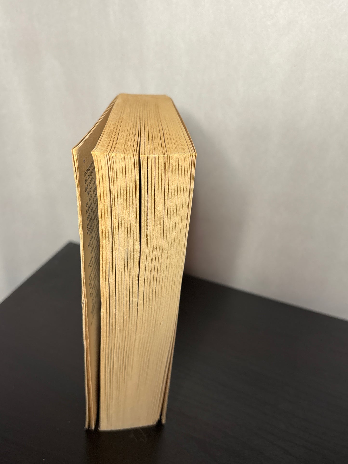 The Will of the Wanderer by Margaret Weis, Tracy Hickman (Rose of the Prophet #1) | Vintage Fantasy