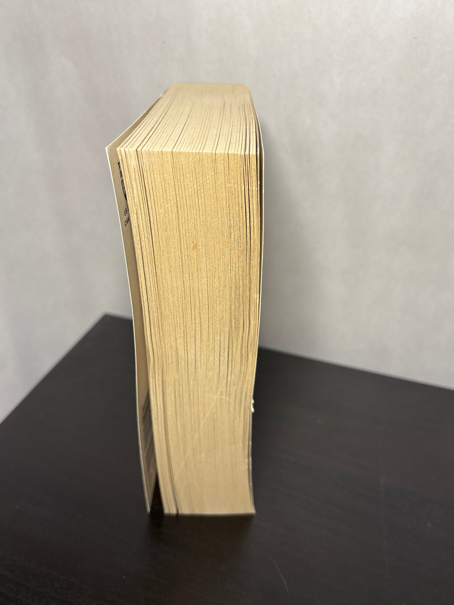 The Outlanders by David B. Coe (Lon Tobyn Chronicle #2) | Vintage Fantasy