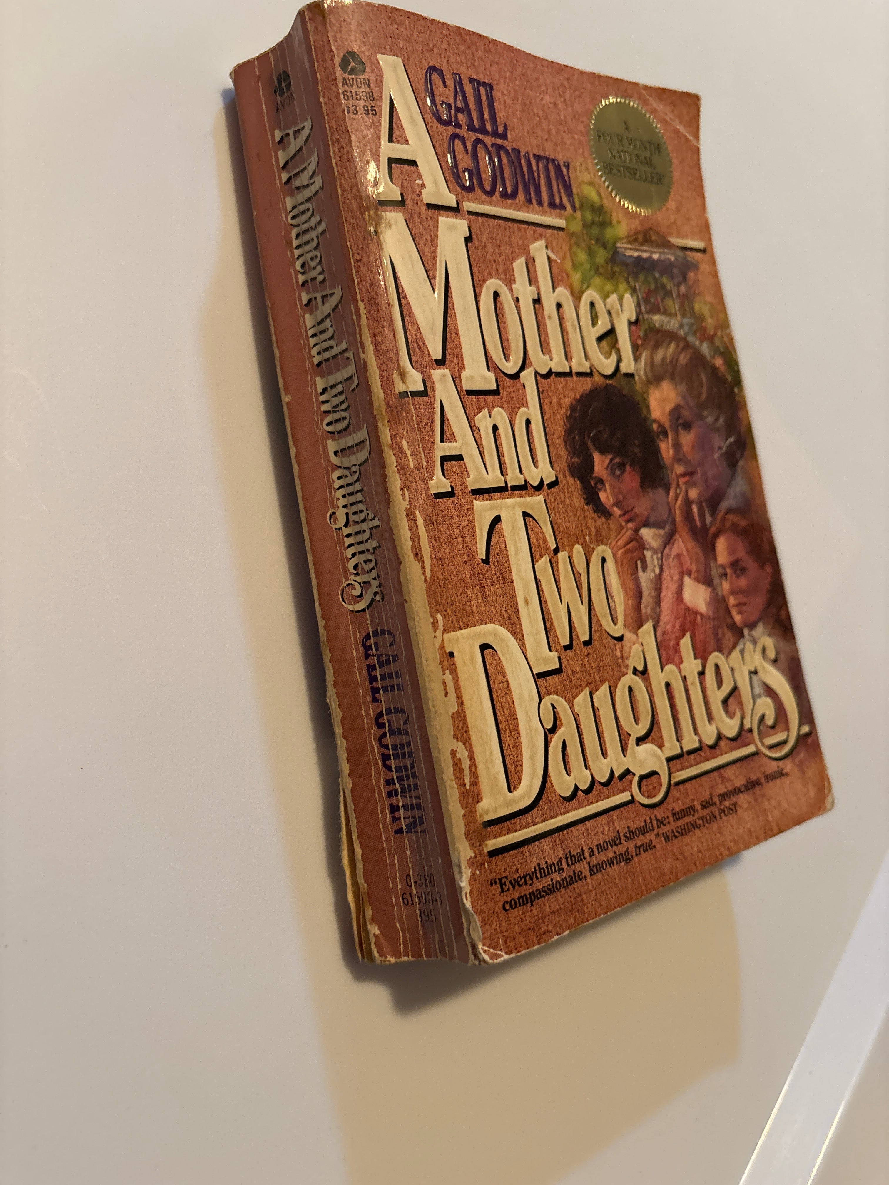 A Mother and Two Daughters by Gail Godwin