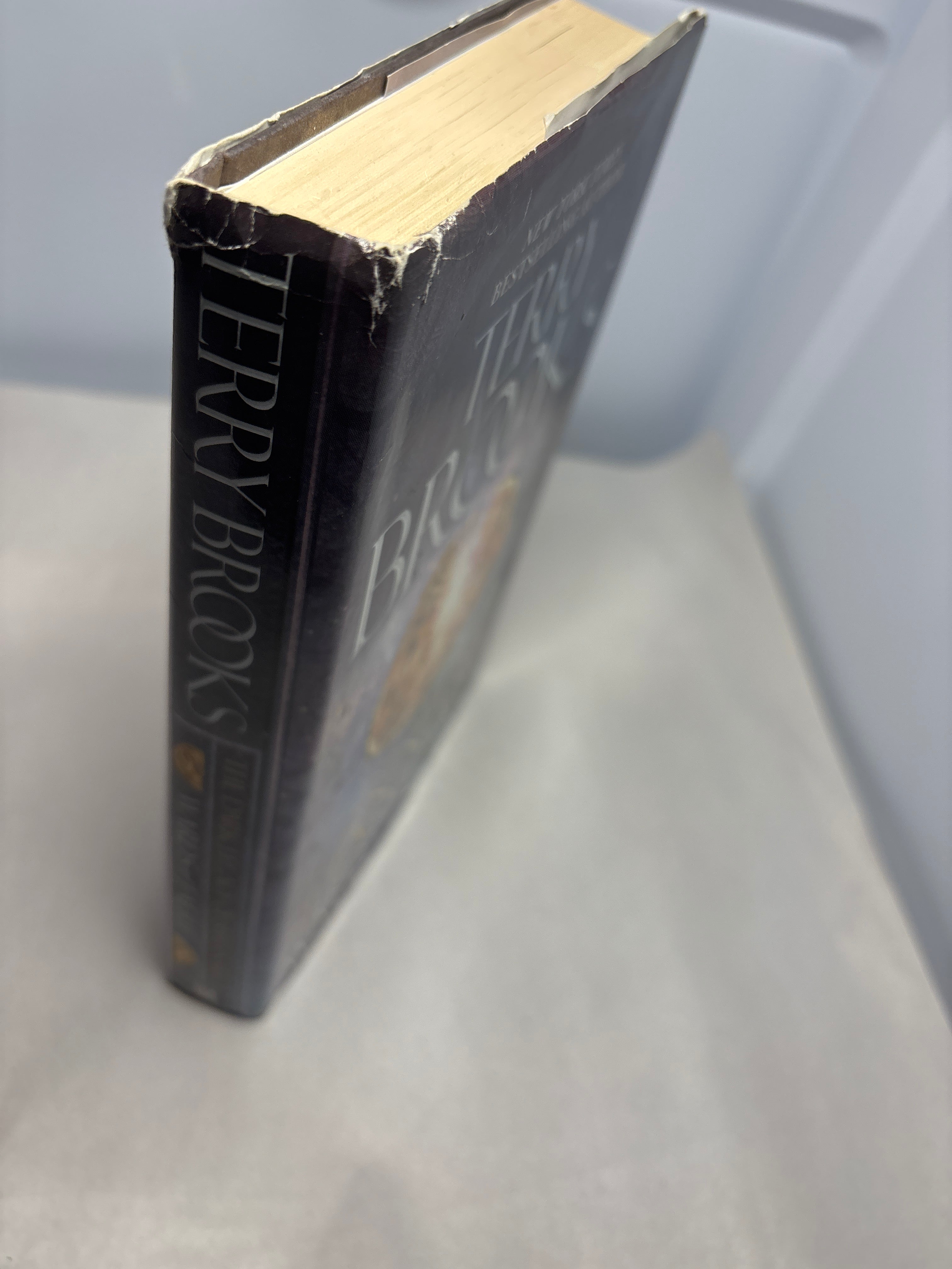 Wards of Faerie by Terry Brooks (The Dark Legacy of Shannara #1)