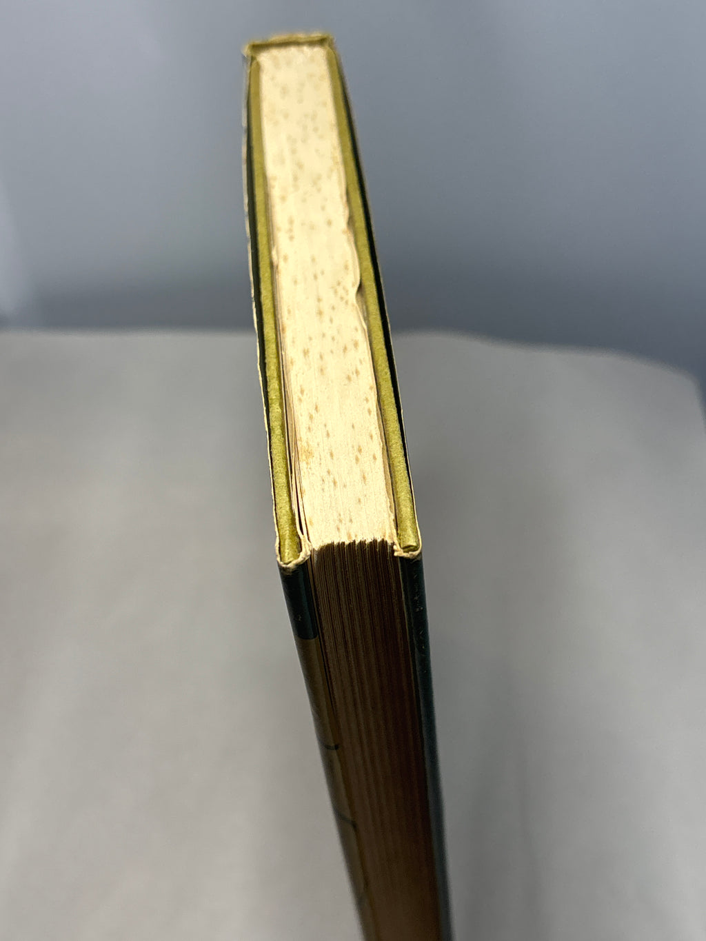 Orbit 19 edited by Damon Knight