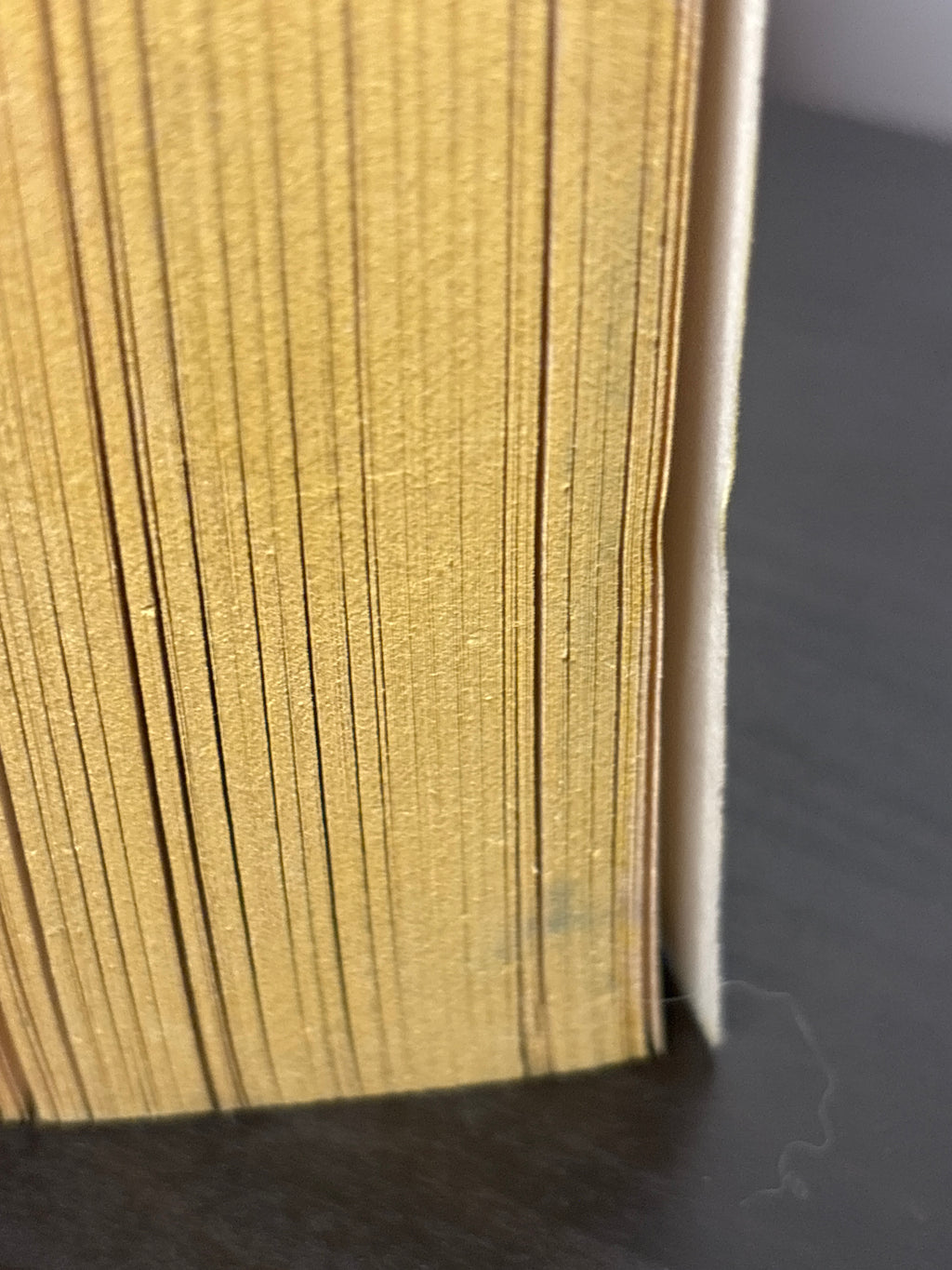 Contact by Carl Sagan