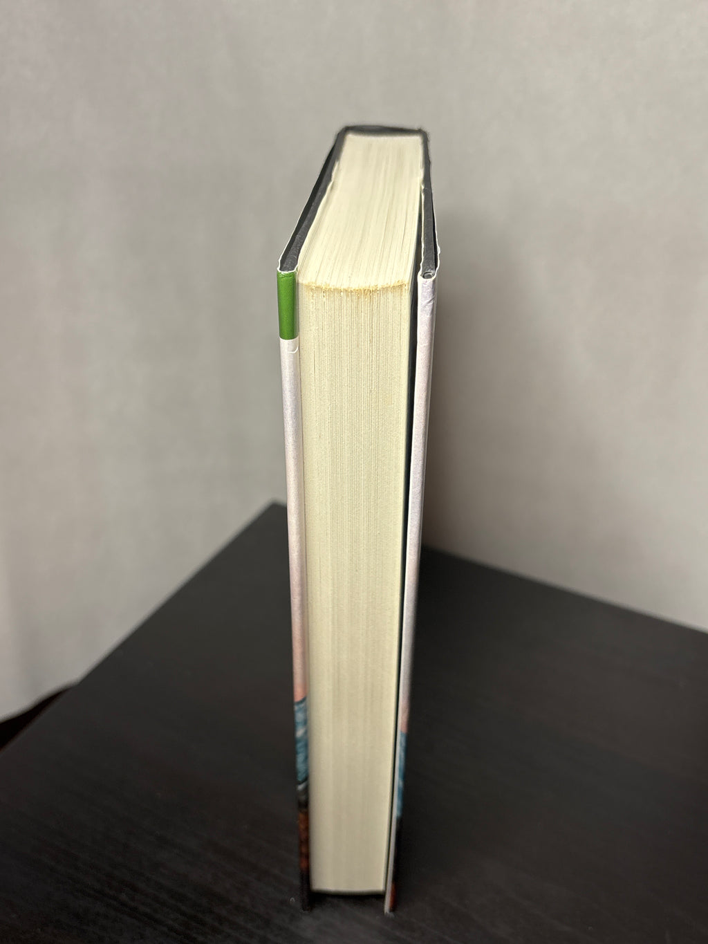 The Valley of Horses by Jean M. Auel (Earth's Children #2)