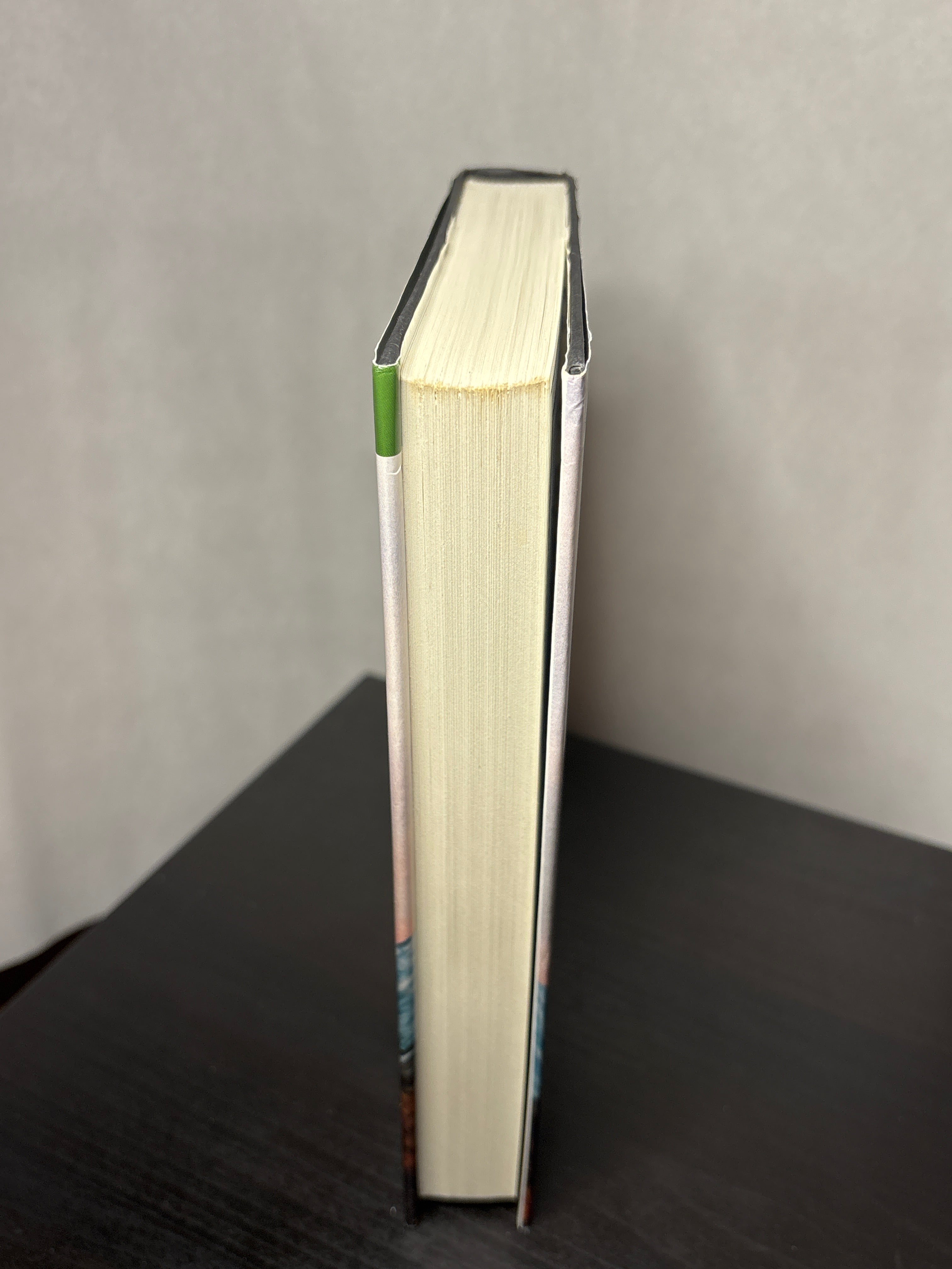 The Valley of Horses by Jean M. Auel (Earth's Children #2)