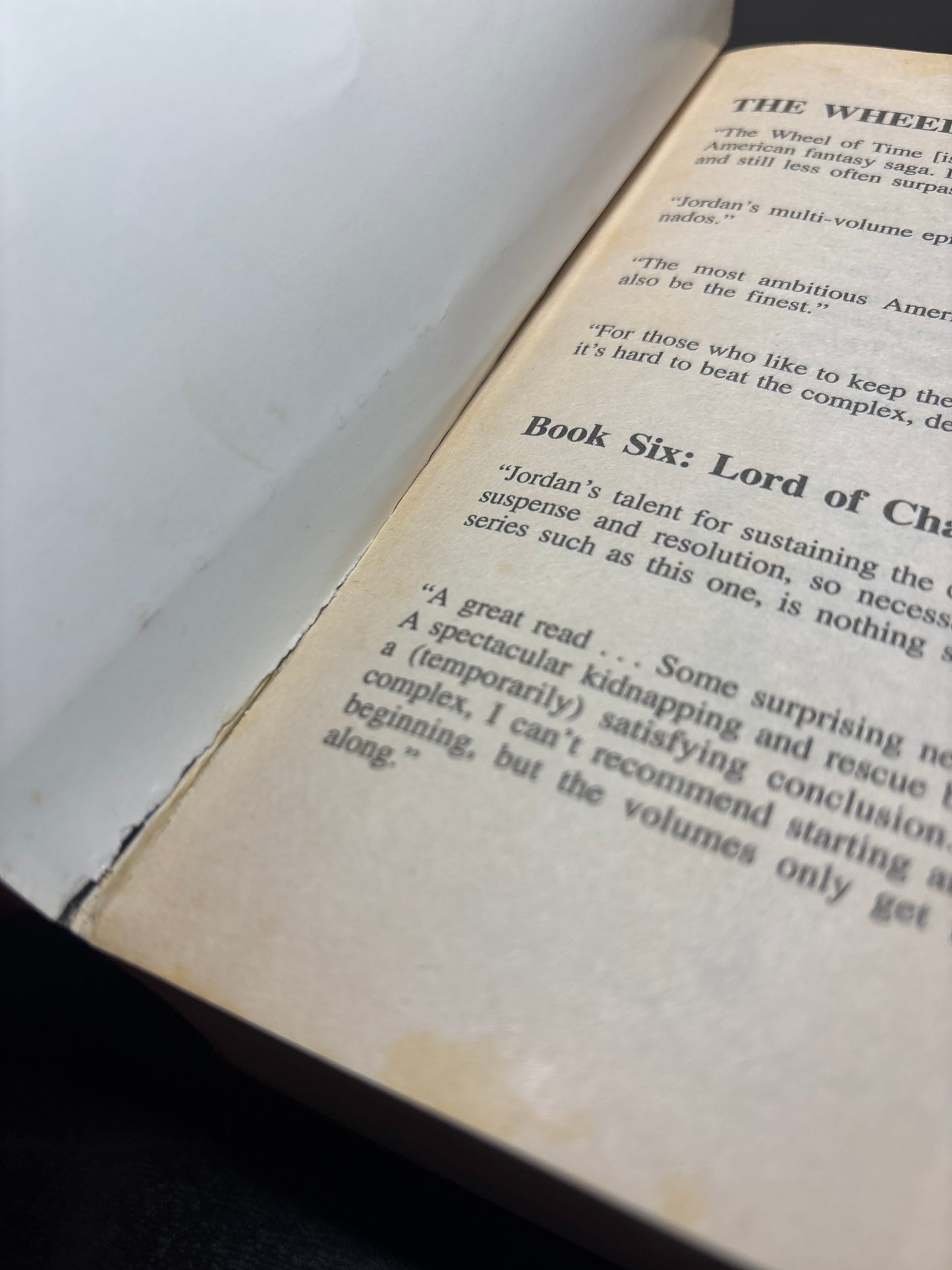 Lord of Chaos by Robert Jordan (The Wheel of Time #6) | Classic Epic Fantasy