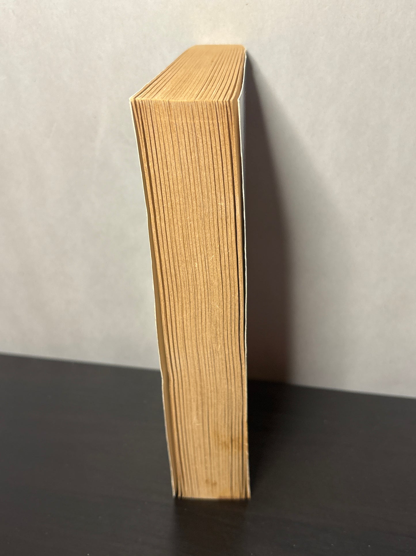 The Book of Silence by Lawrence Watt-Evans (The Lords of Dus #4) | Vintage Fantasy