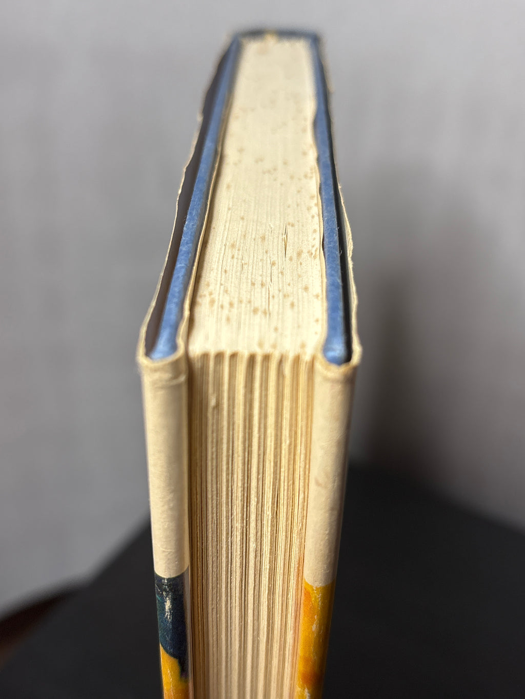 Spaceling by Doris Piserchia