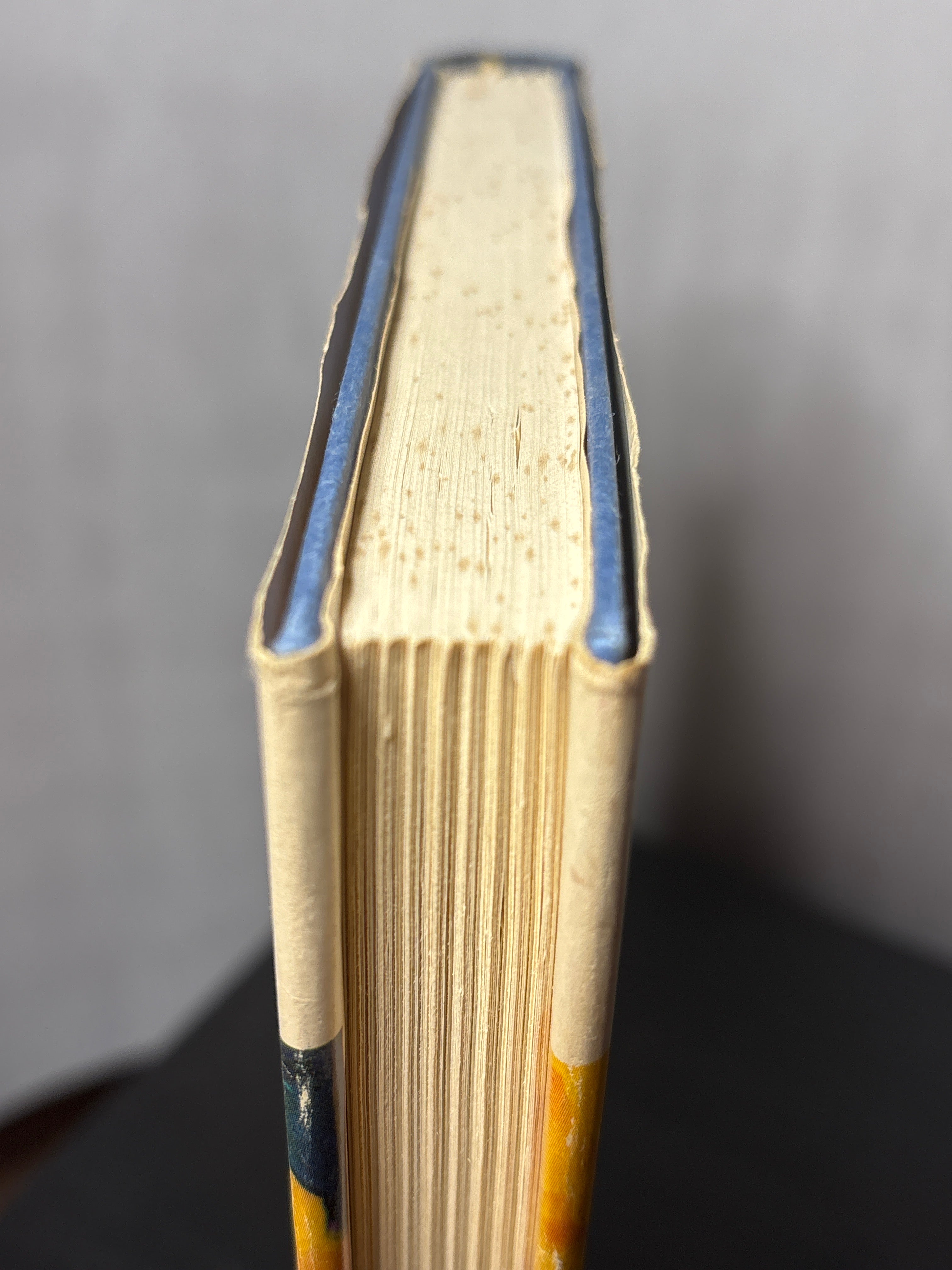 Spaceling by Doris Piserchia