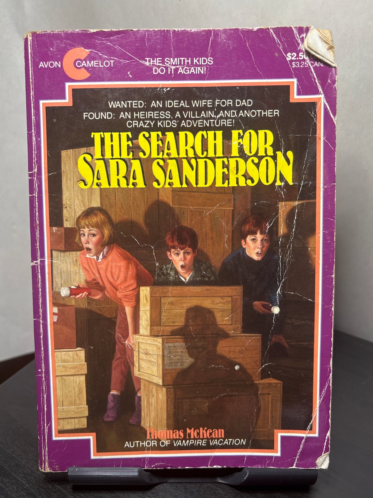 The Search for Sara Sanderson by Thomas McKean | YA Mystery