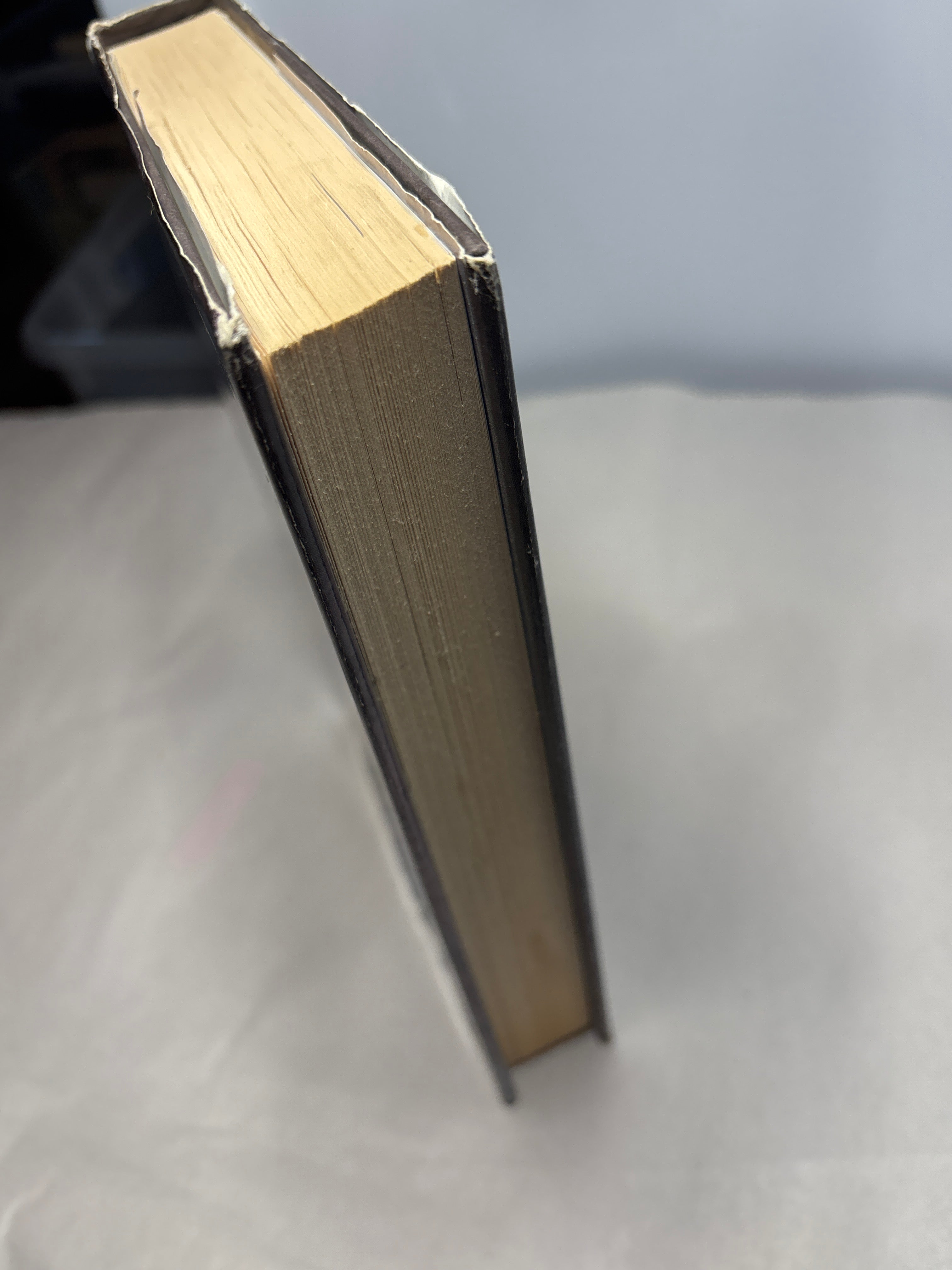 Wards of Faerie by Terry Brooks (The Dark Legacy of Shannara #1)