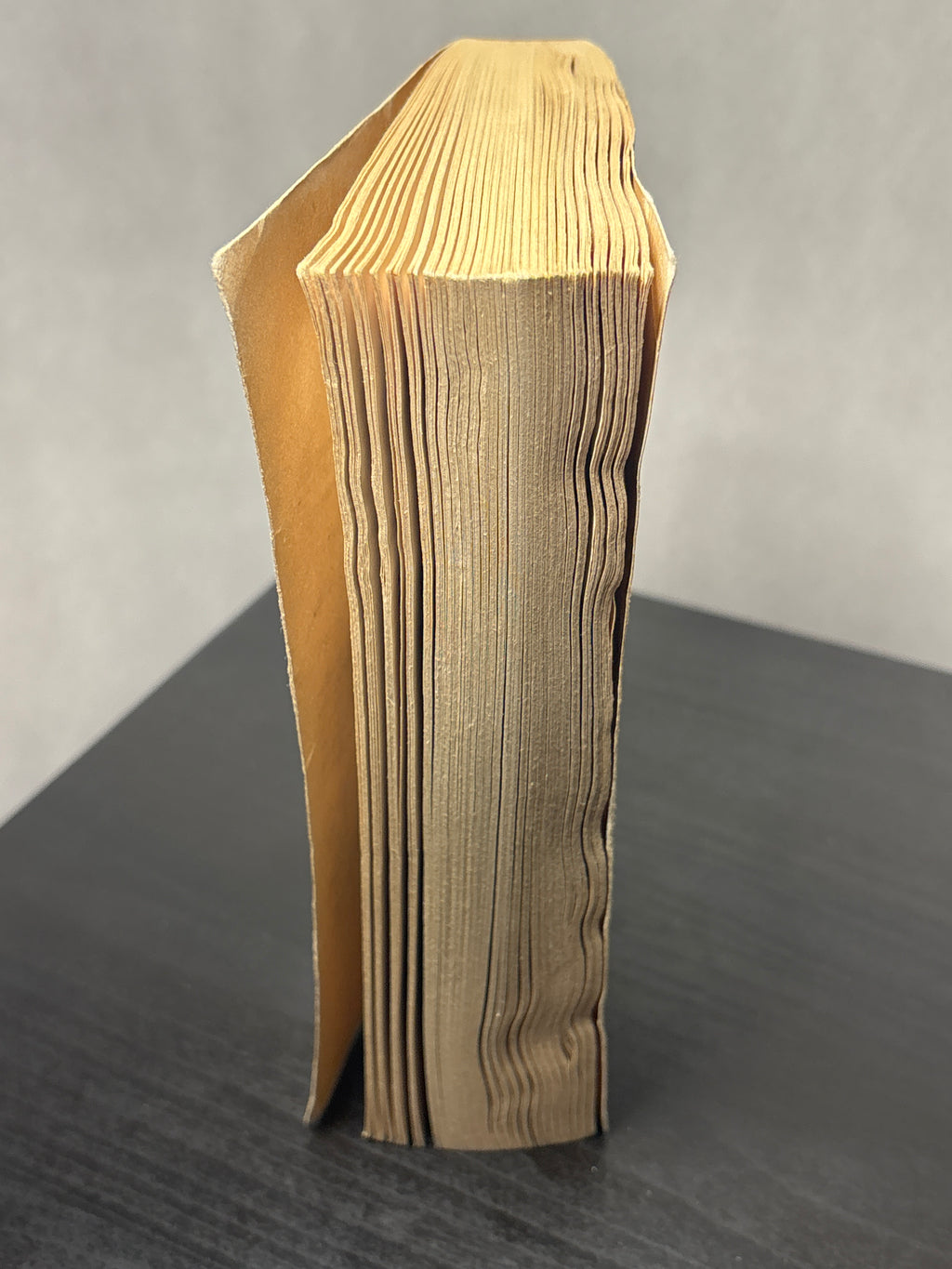 War of the Twins by Margaret Weis, Tracy Hickman (Dragonlance: Legends #2)