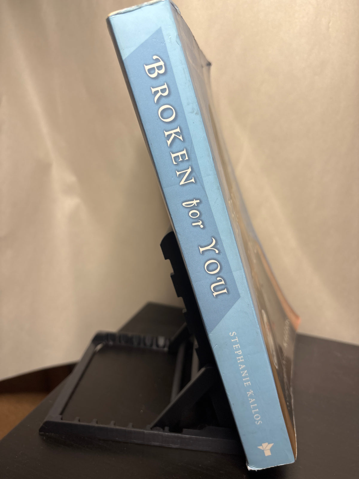 Broken for You by Stephanie Kallos | Contemporary Literary Fiction