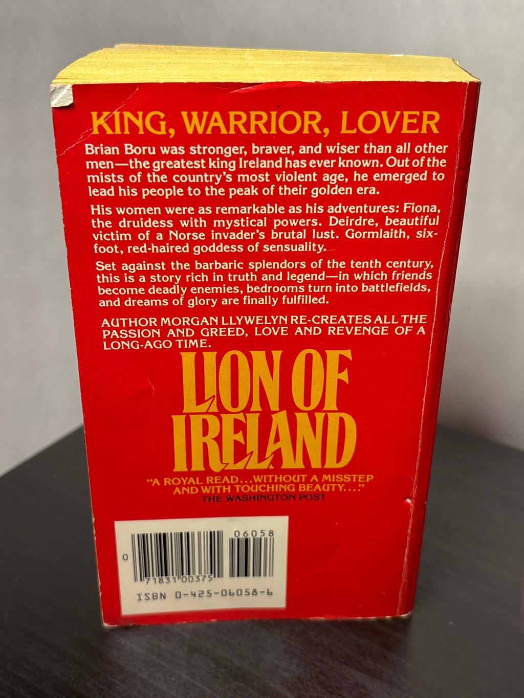 Lion of Ireland by Morgan Llwelyn (Brian Boru #1)