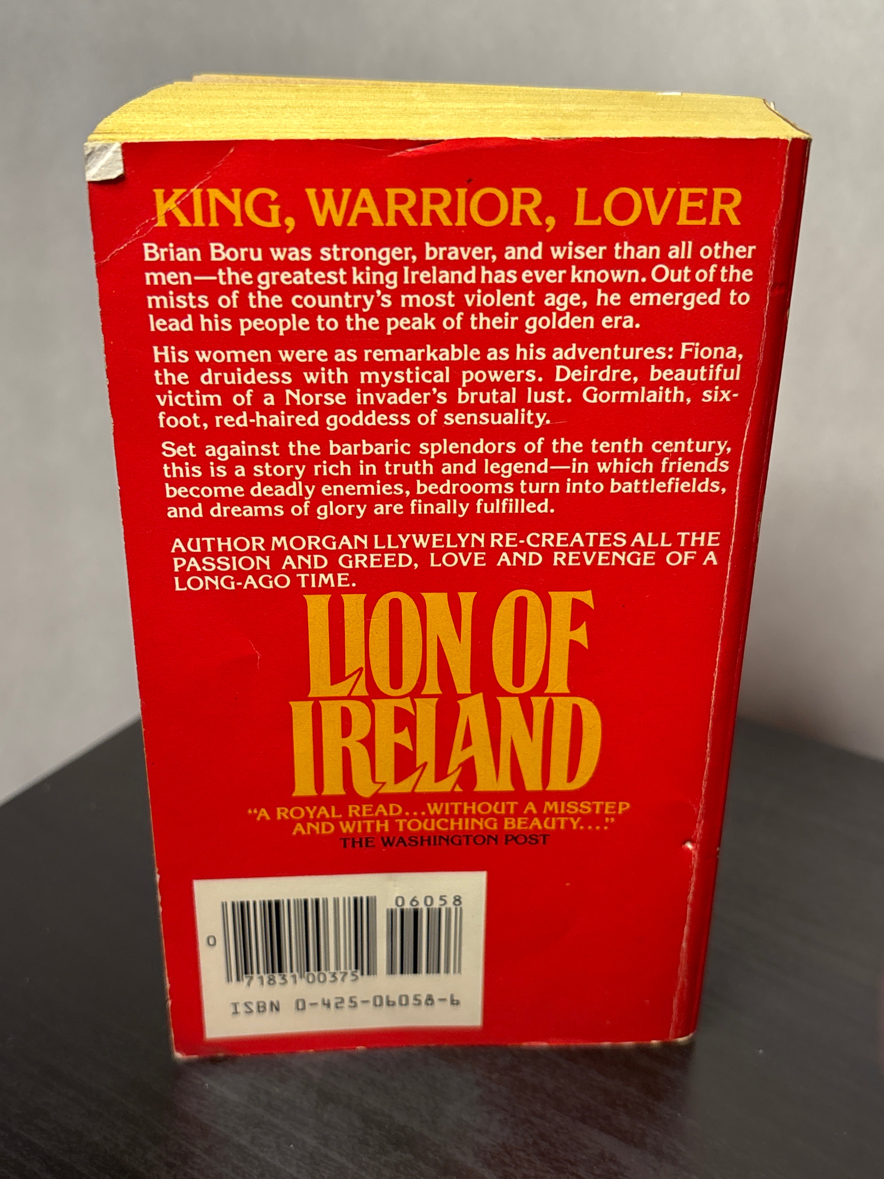 Lion of Ireland by Morgan Llwelyn (Brian Boru #1)