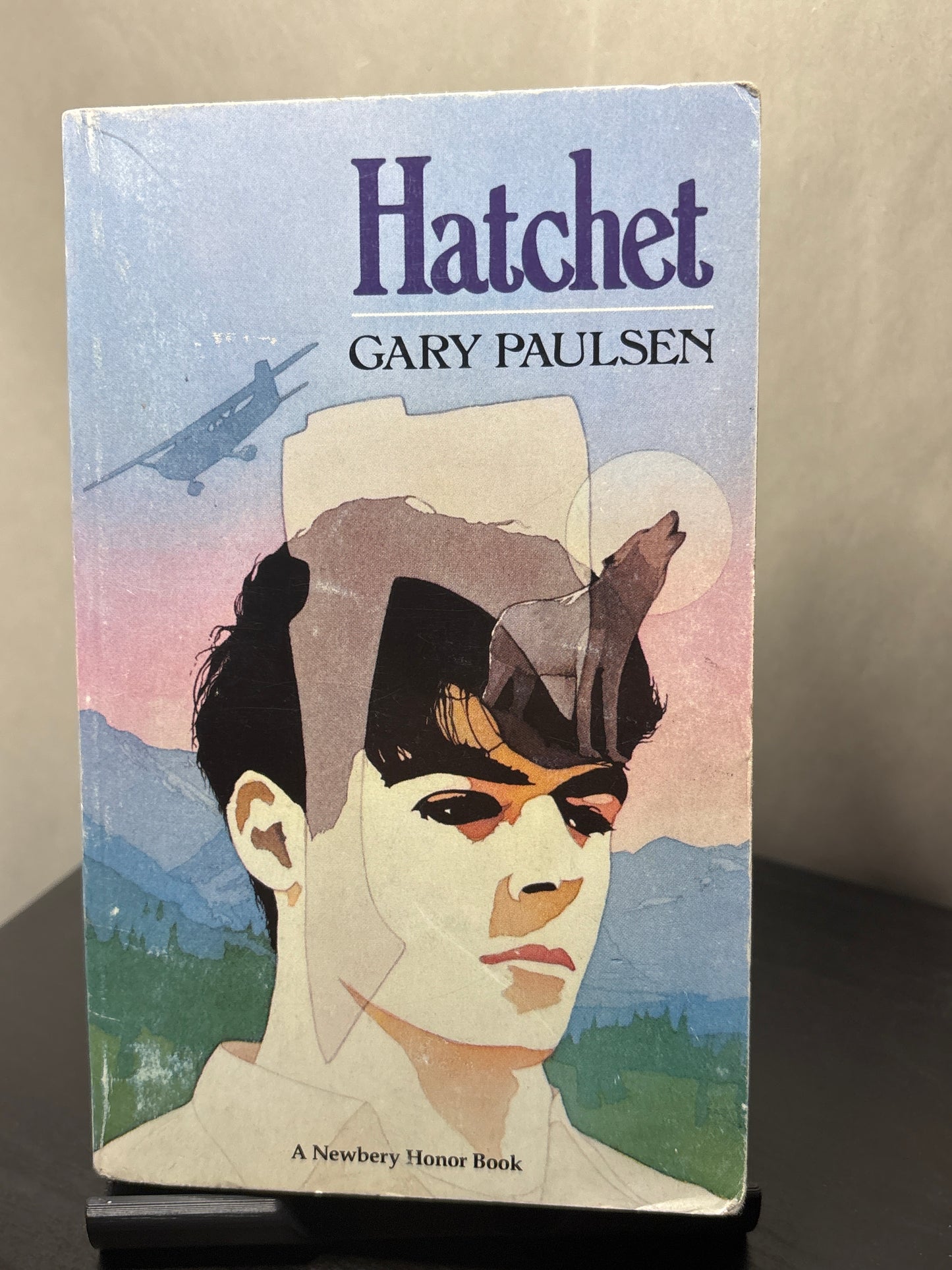 Hatchet by Gary Paulsen (Brian's Saga #1) | YA Fiction