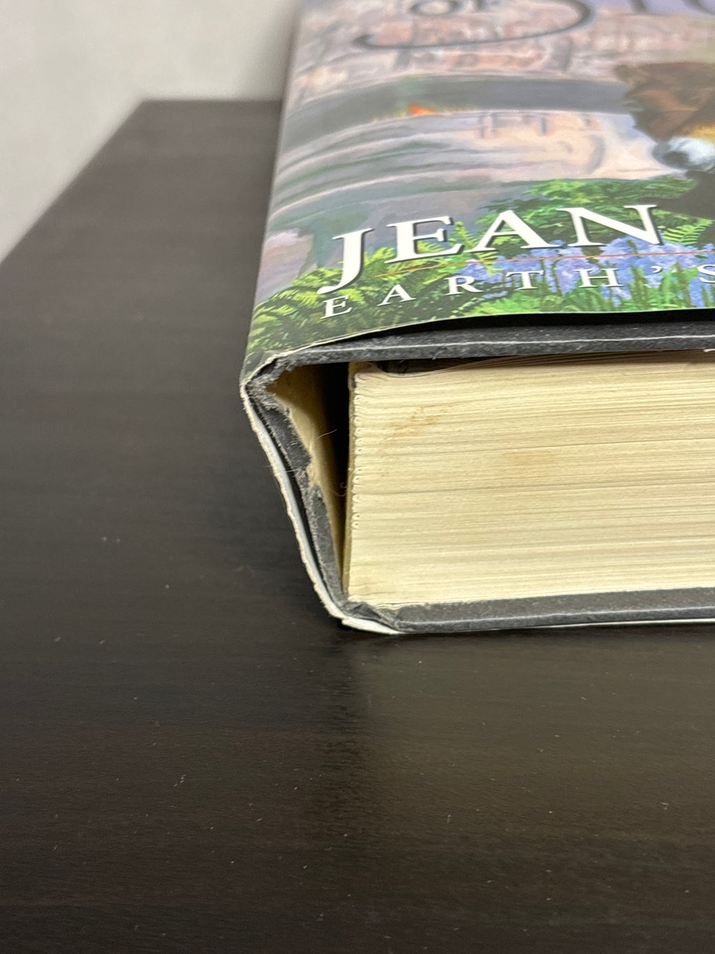 The Shelters of Stone by Jean M. Auel (Earth's Children #5)