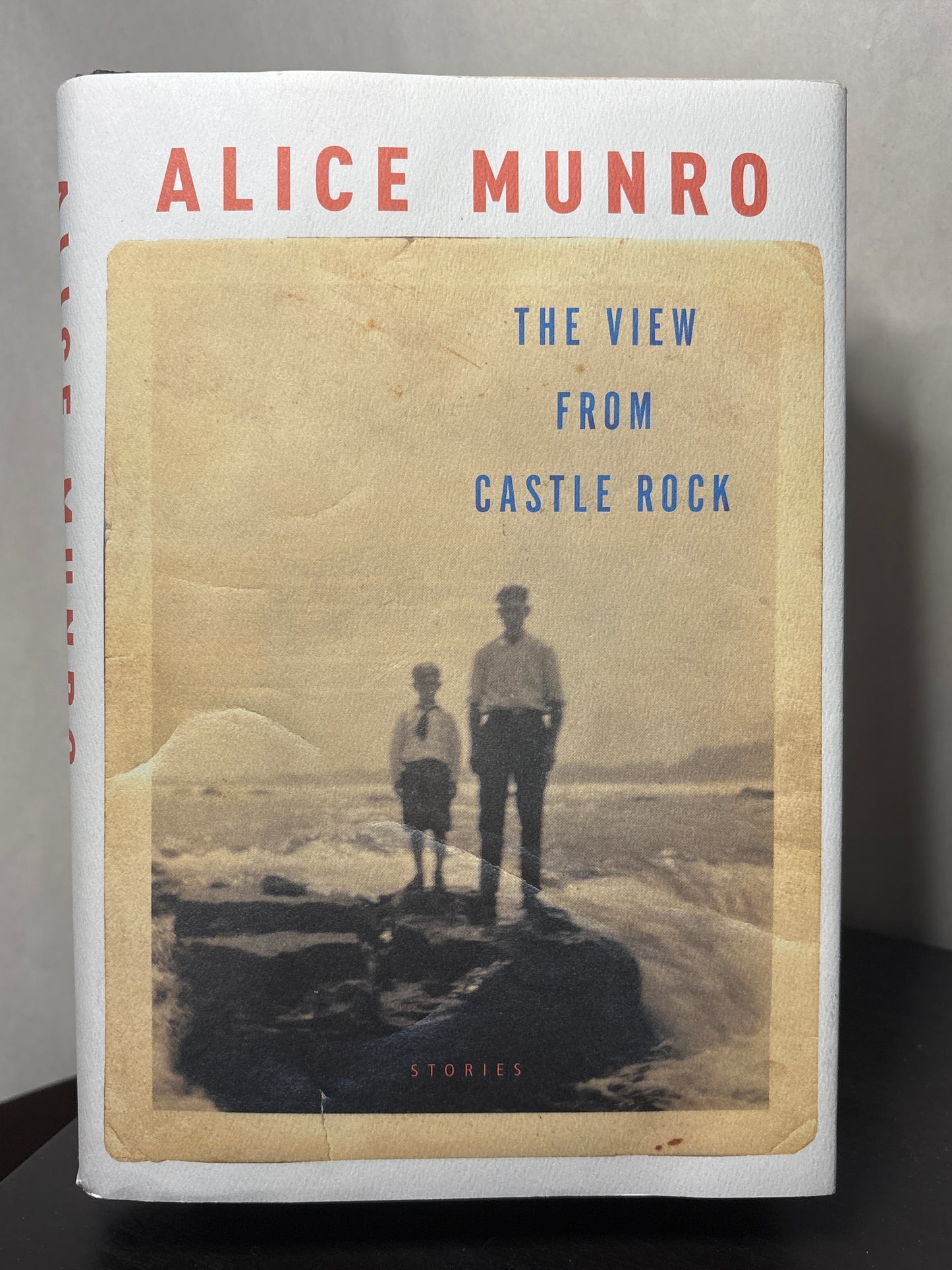 The View From Castle Rock by Alice Munro | Short Stories/Historical Fiction