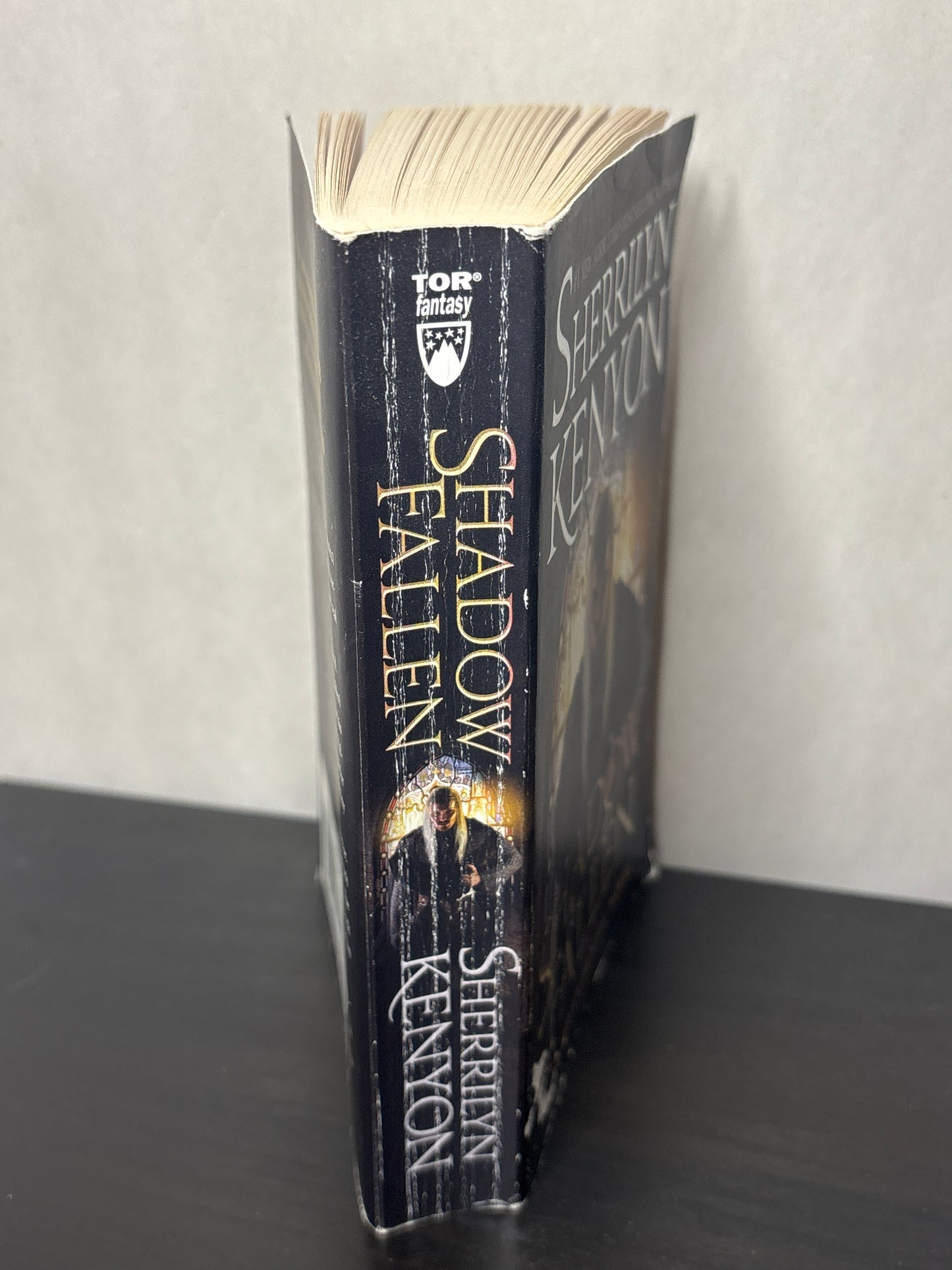 Shadow Fallen: A Dream-Hunter Novel by Sherrilyn Kenyon (Dream-Hunters #6) | Classic Fantasy Paranormal Romance