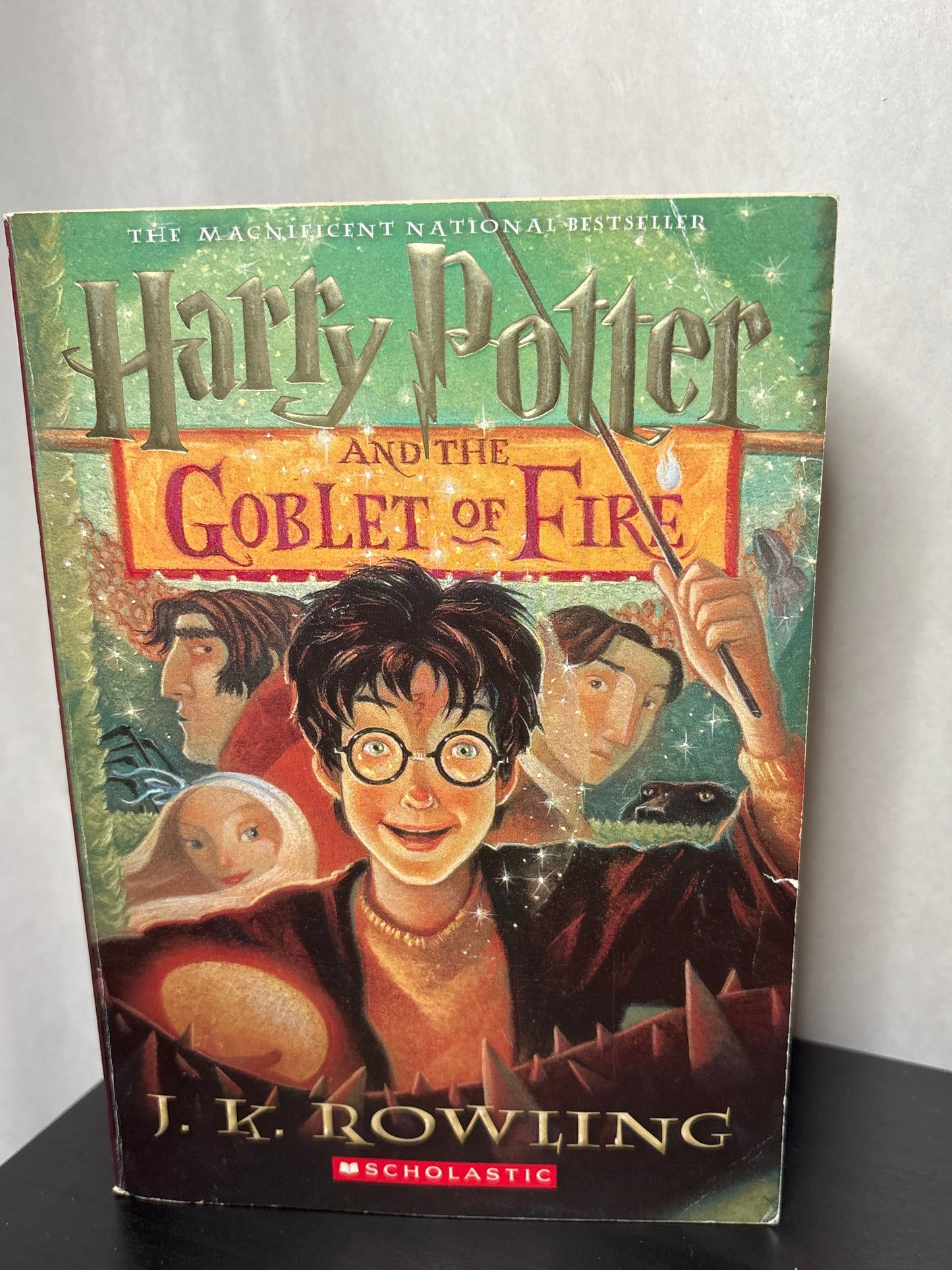 Harry Potter and the Goblet of Fire by J.K. Rowling (Harry Potter #4)