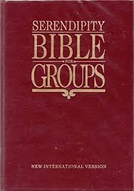 Serendipity Bible for Groups - USED - Good